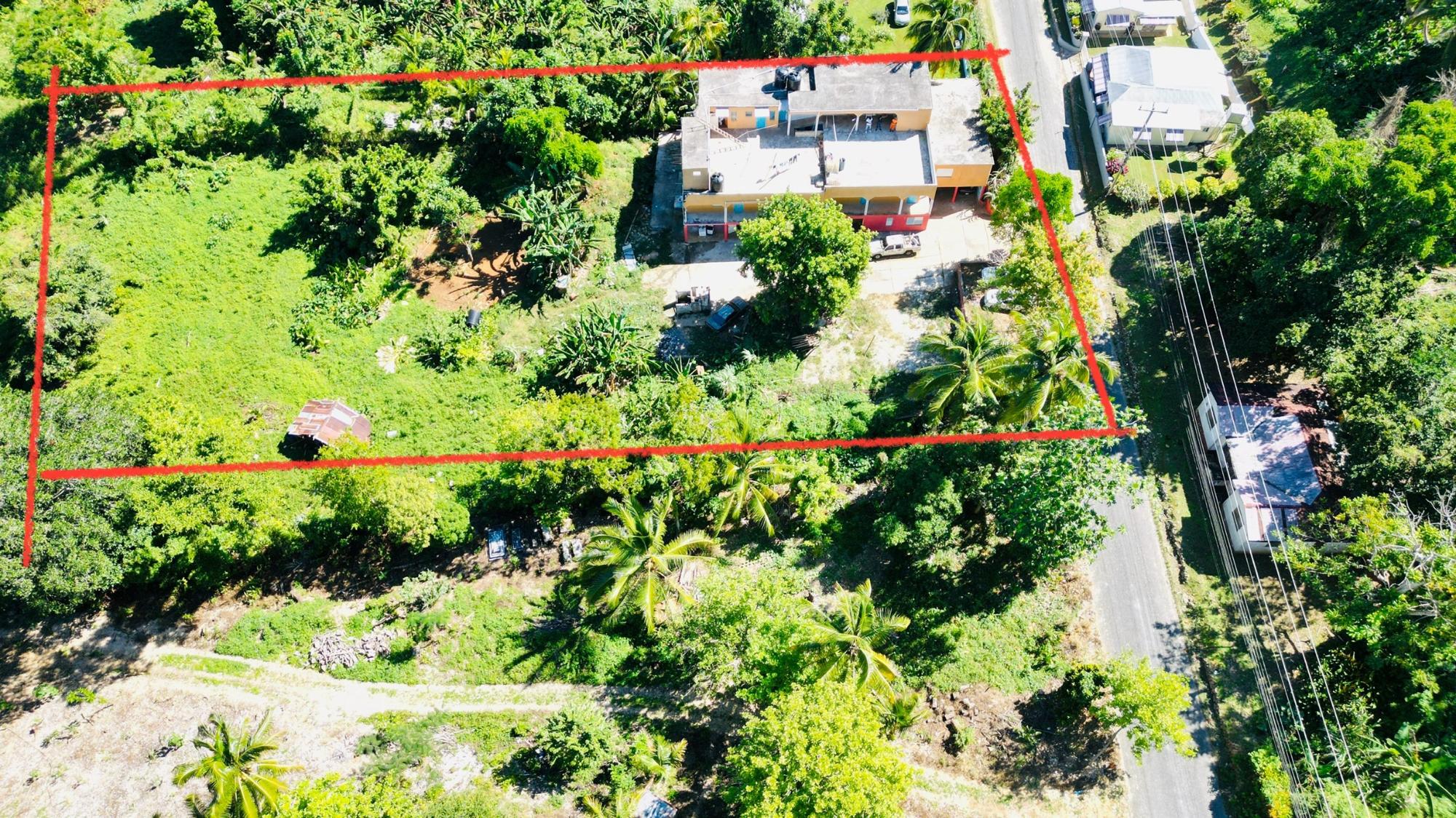 Property Image 13