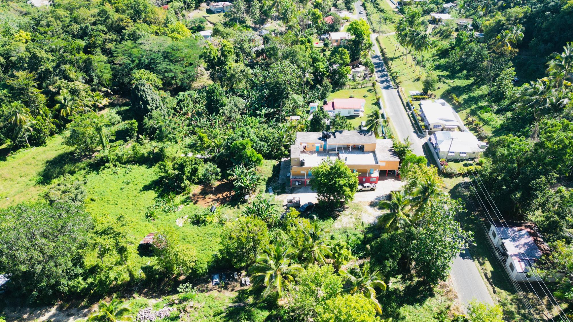 Property Image 16