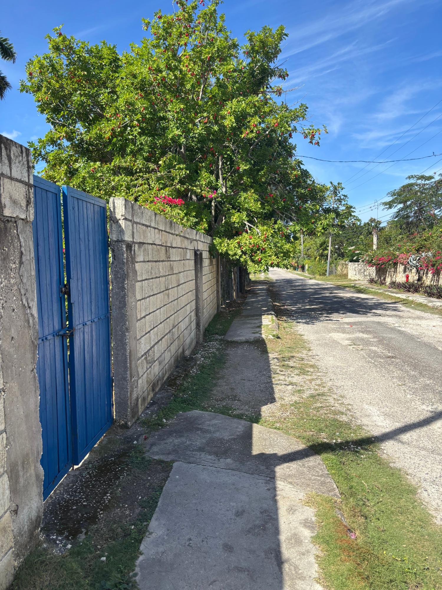 Property Image 14
