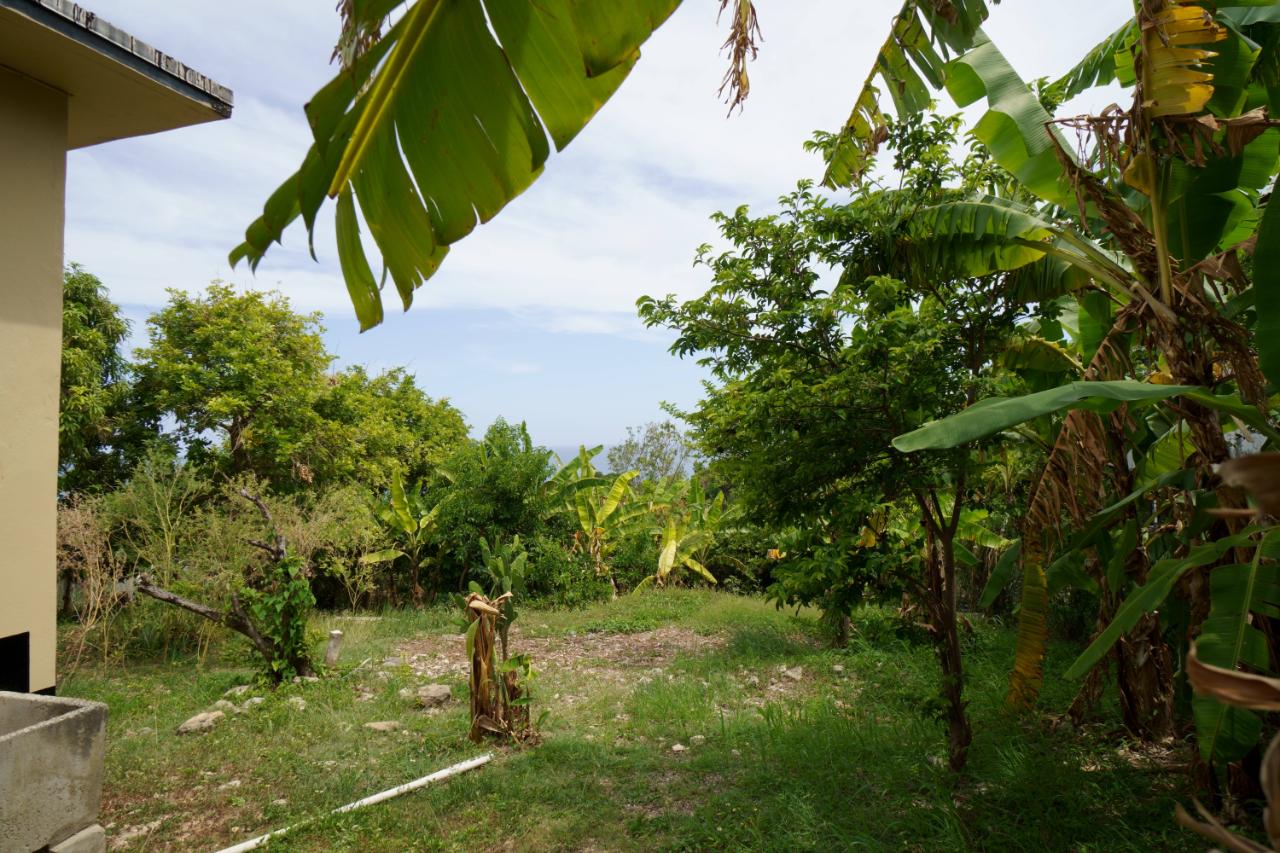 Property Image 39