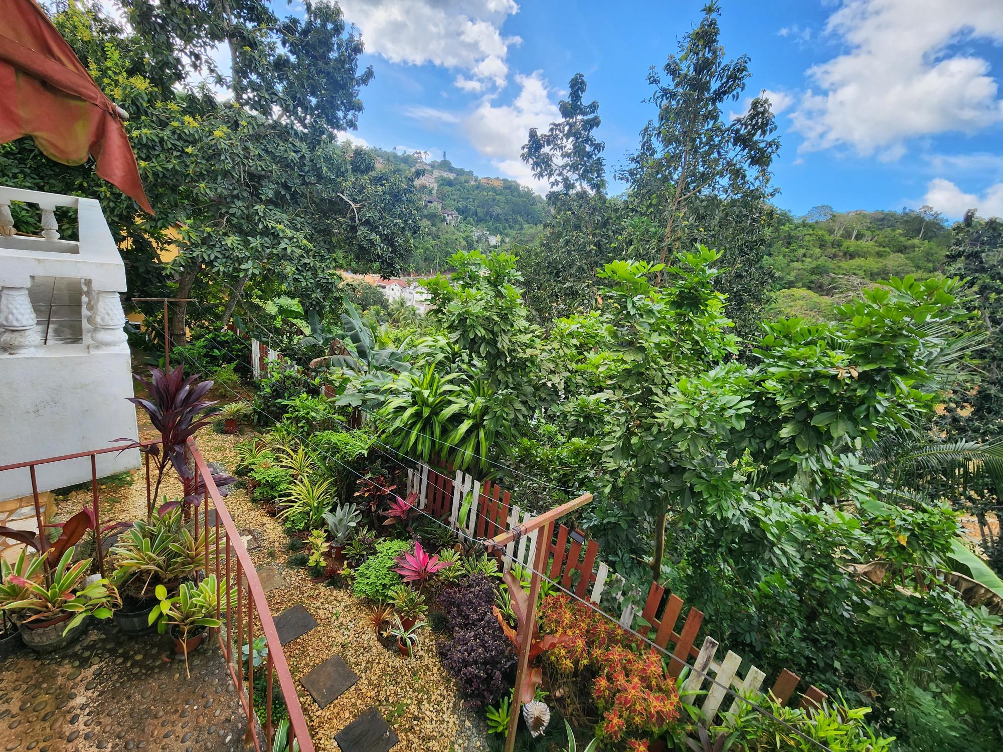 Property Image 38