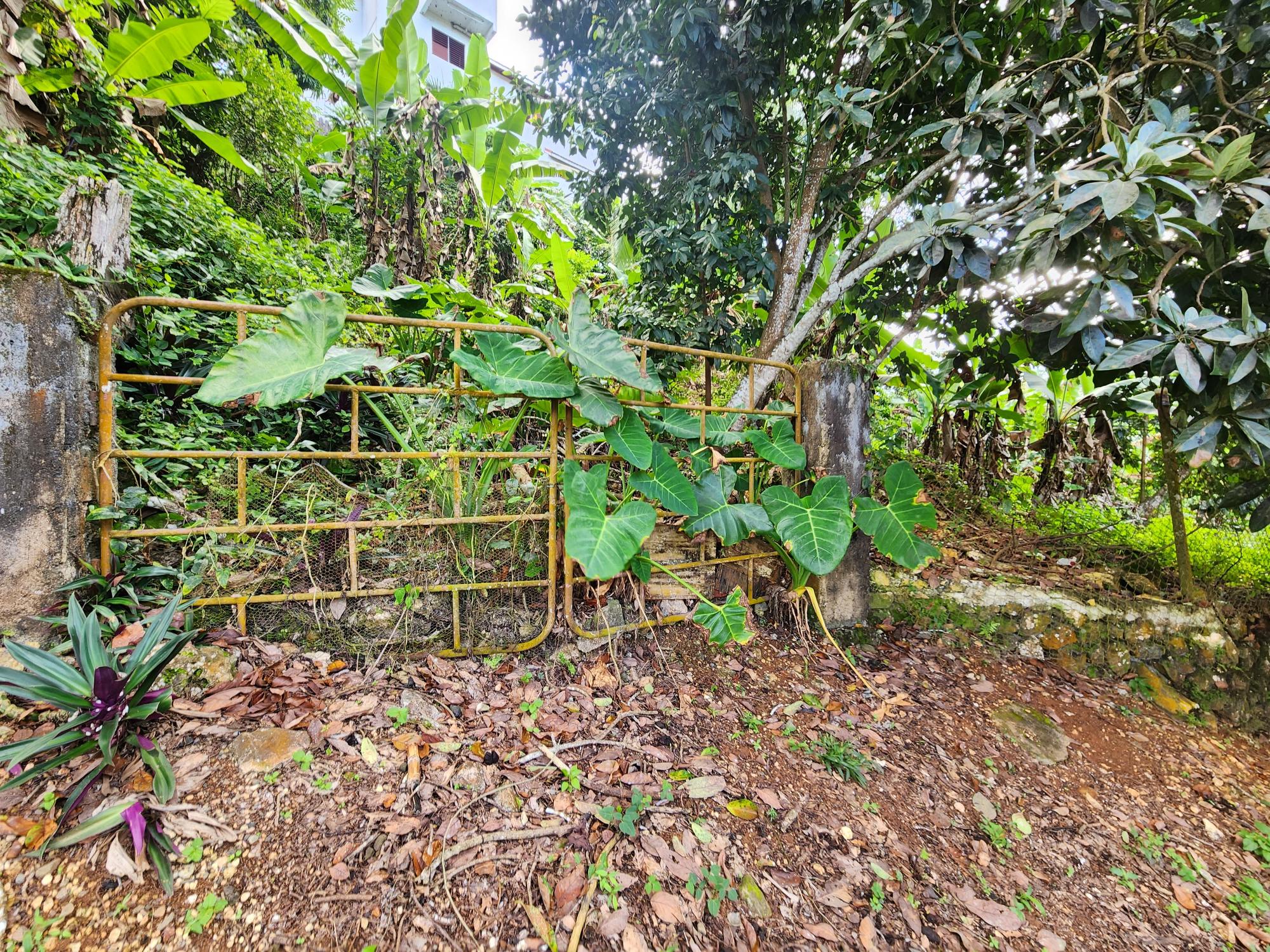 Property Image 41