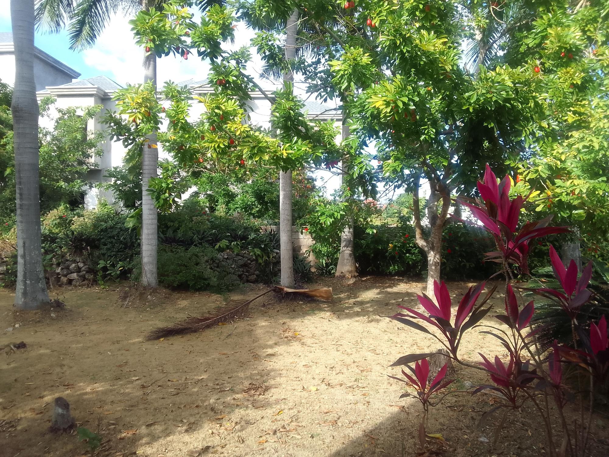 Property Image 16