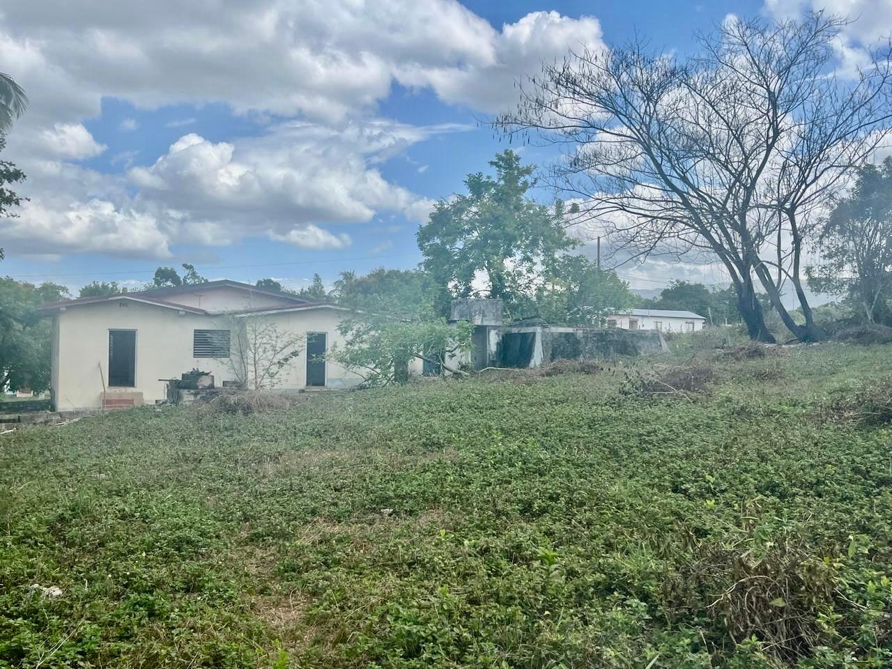 Property Image 19