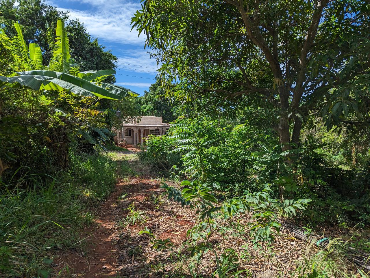 Property Image 19