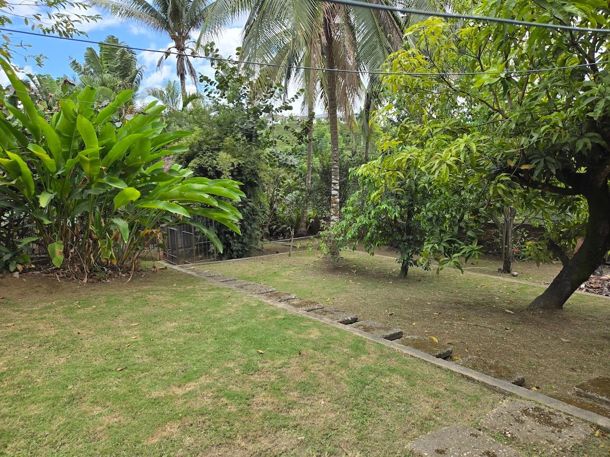 Property Image 58