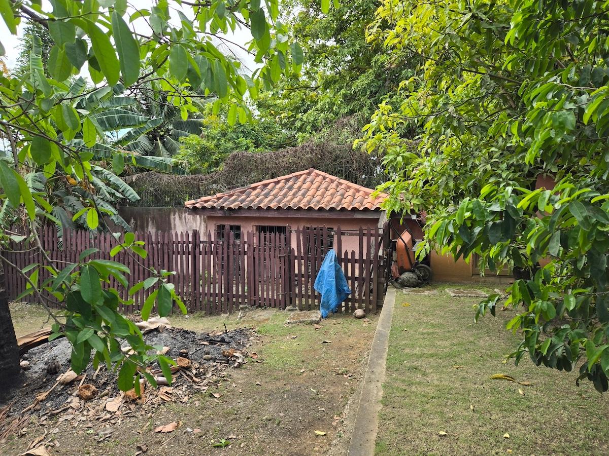 Property Image 60