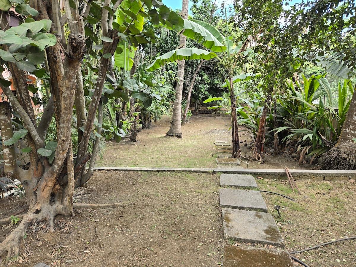 Property Image 62