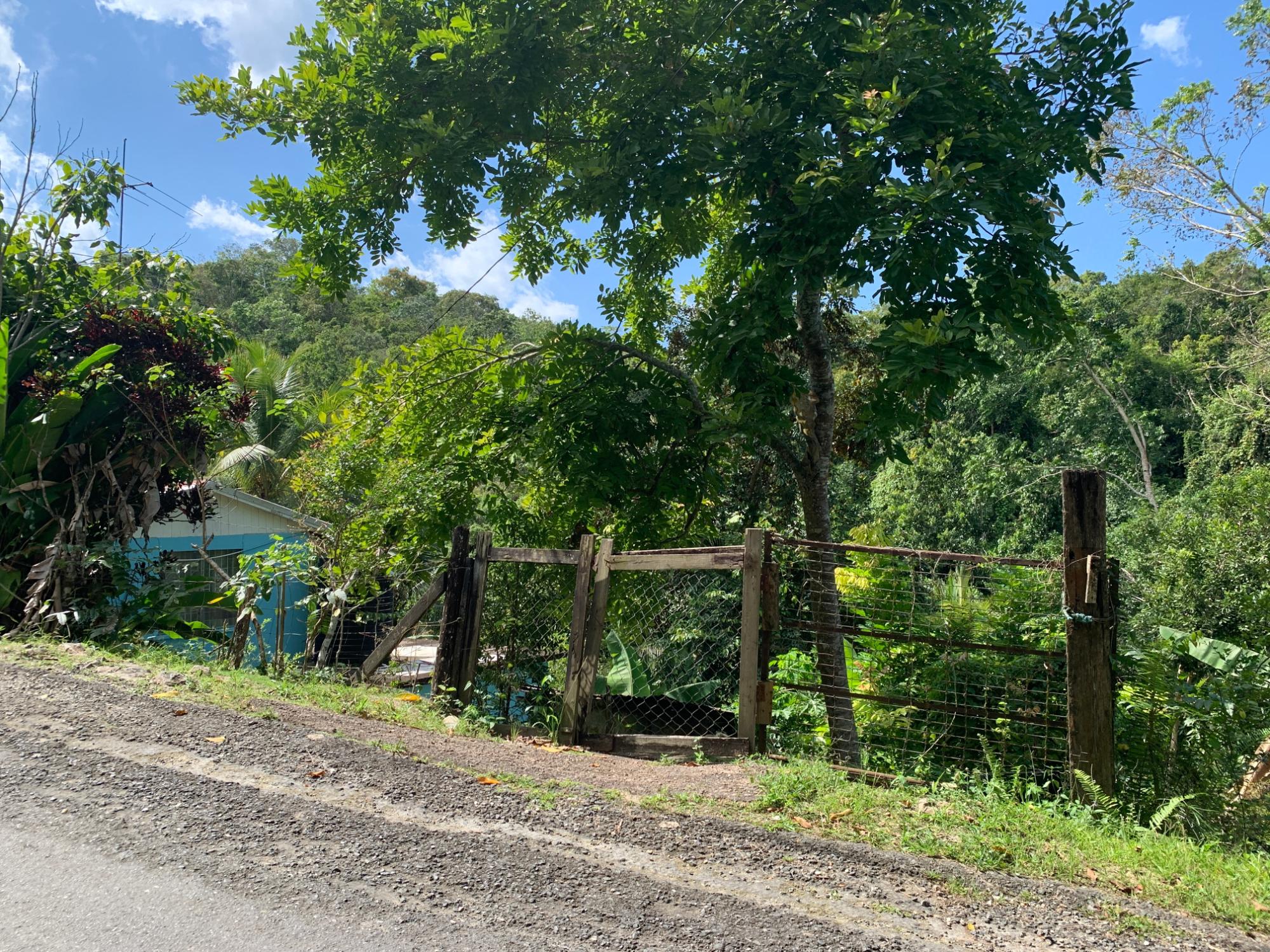 Property Image 13