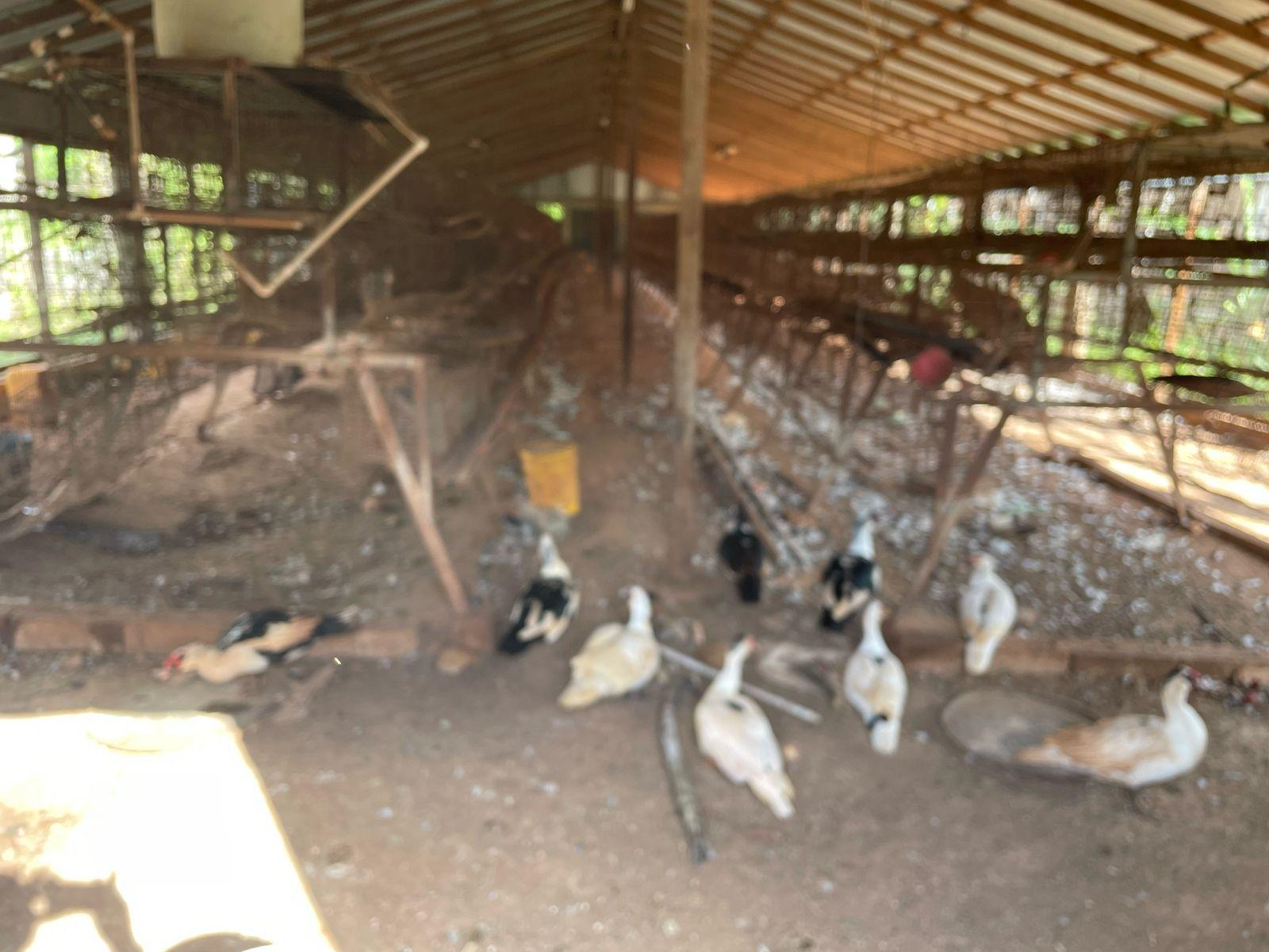 Property Image 12