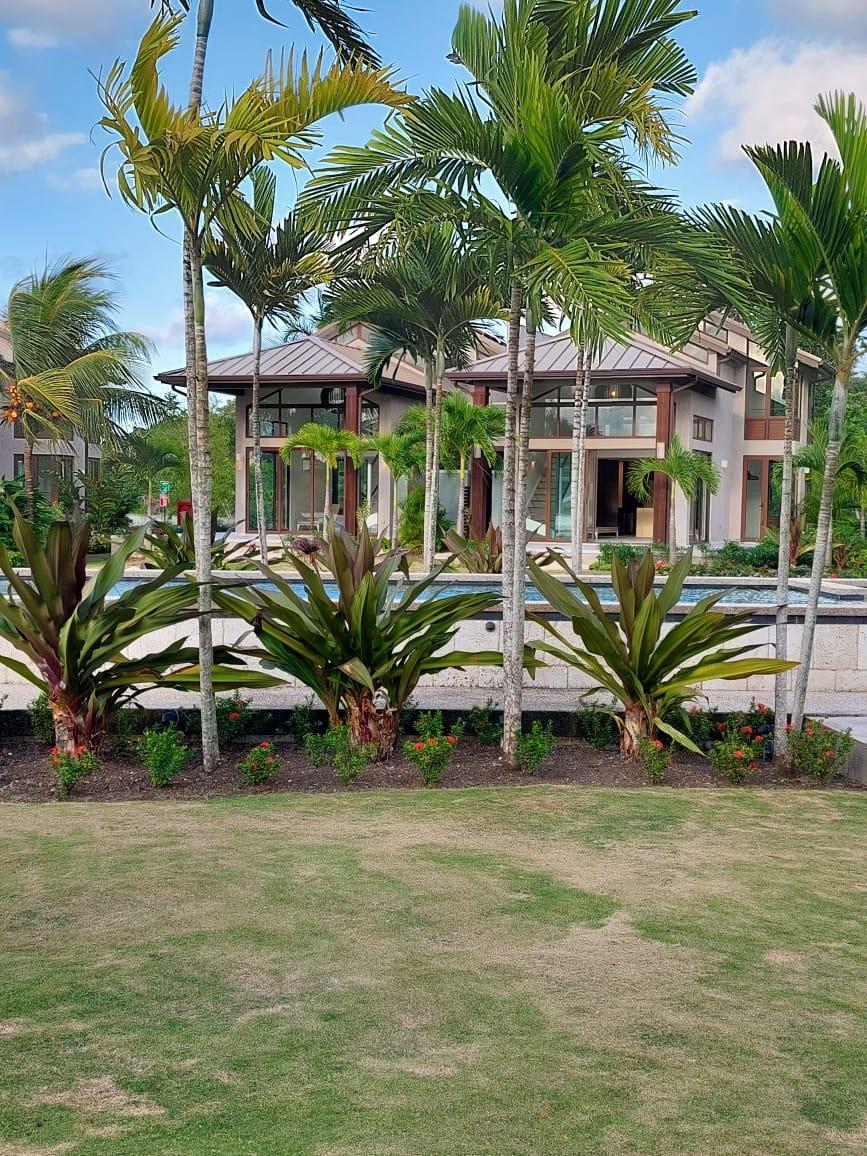 Property Image 63