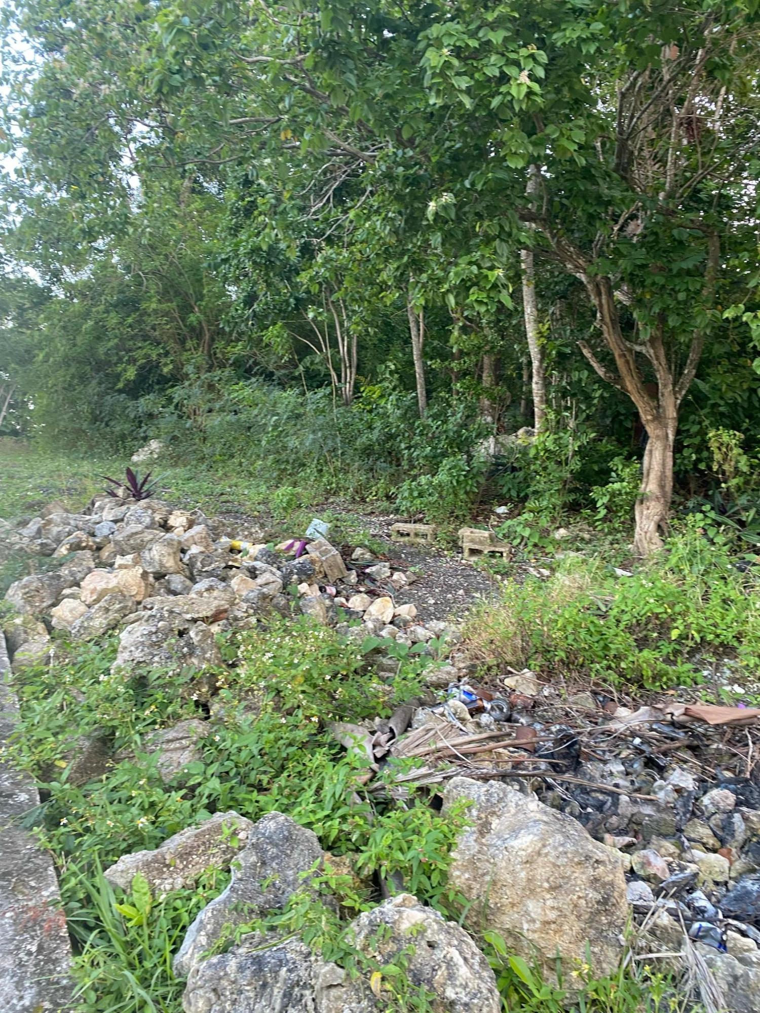 Property Image 5