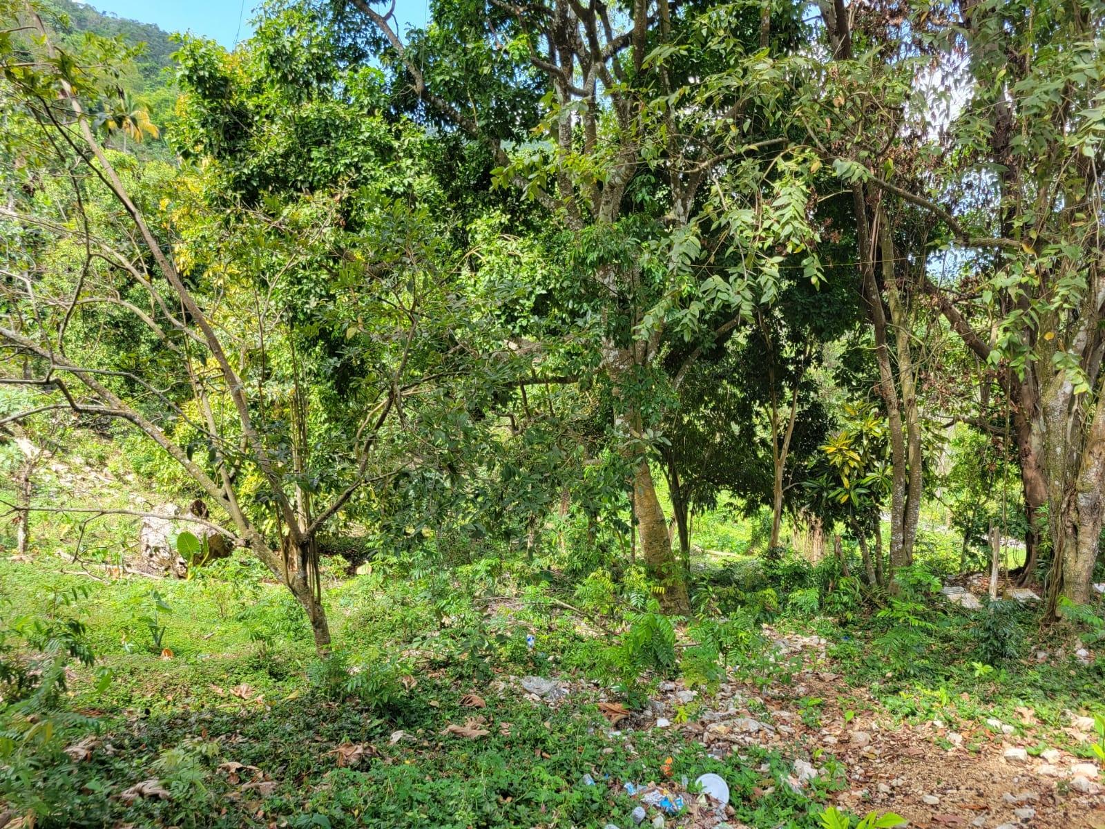 Property Image 18