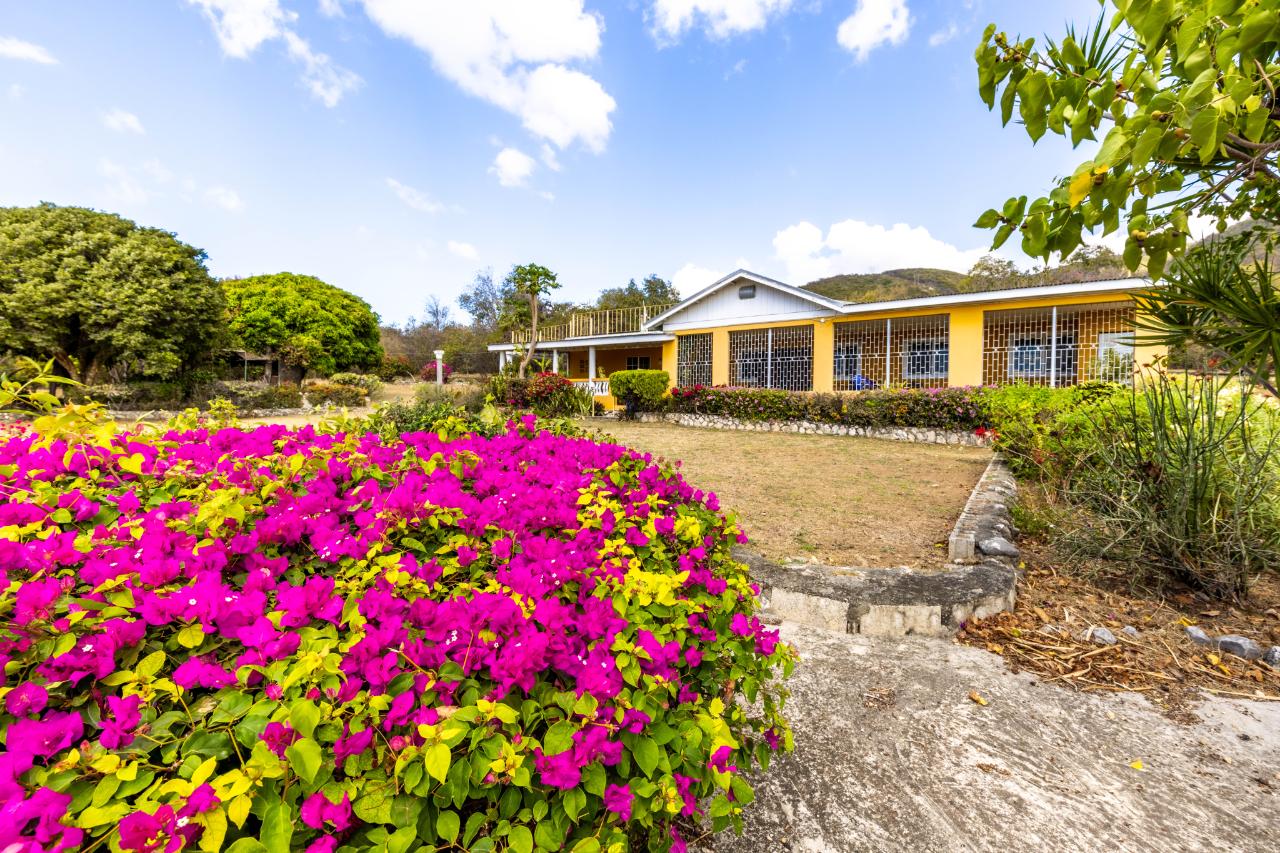Property Image 7