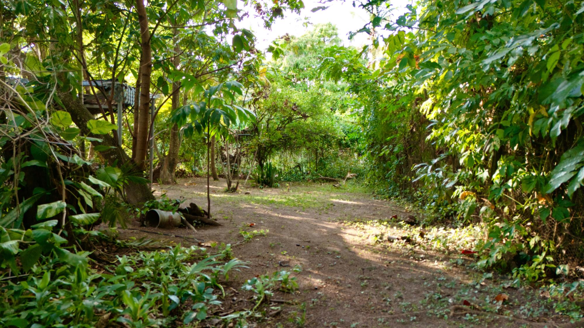 Property Image 17