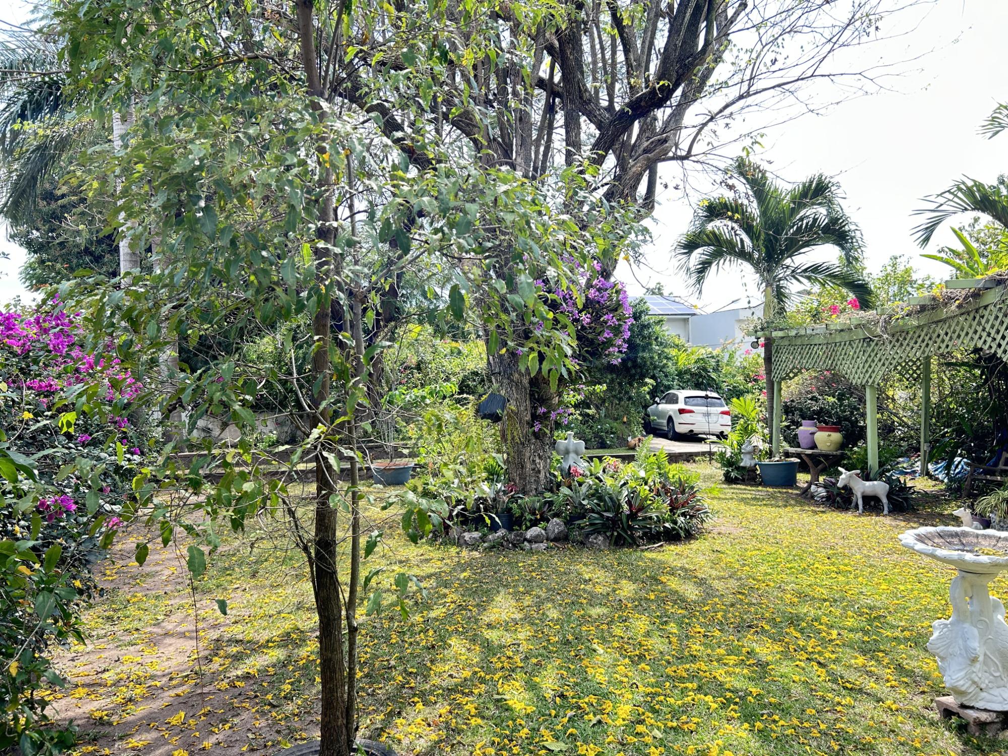 Property Image 55
