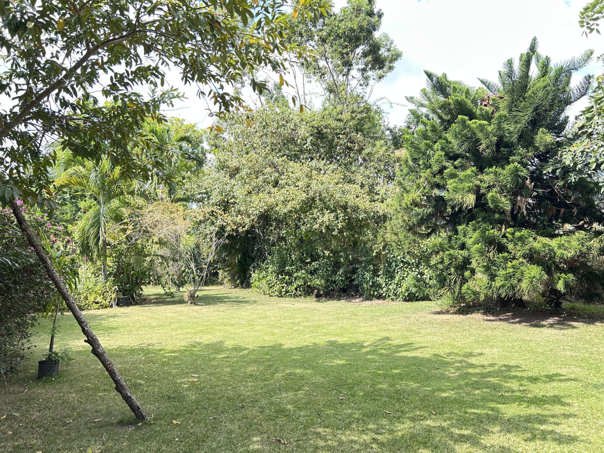 Property Image 56