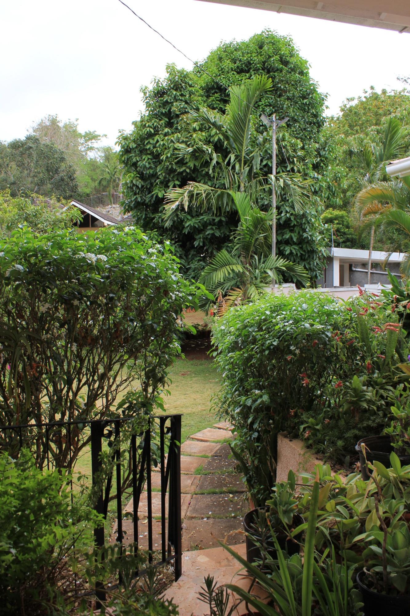 Property Image 62