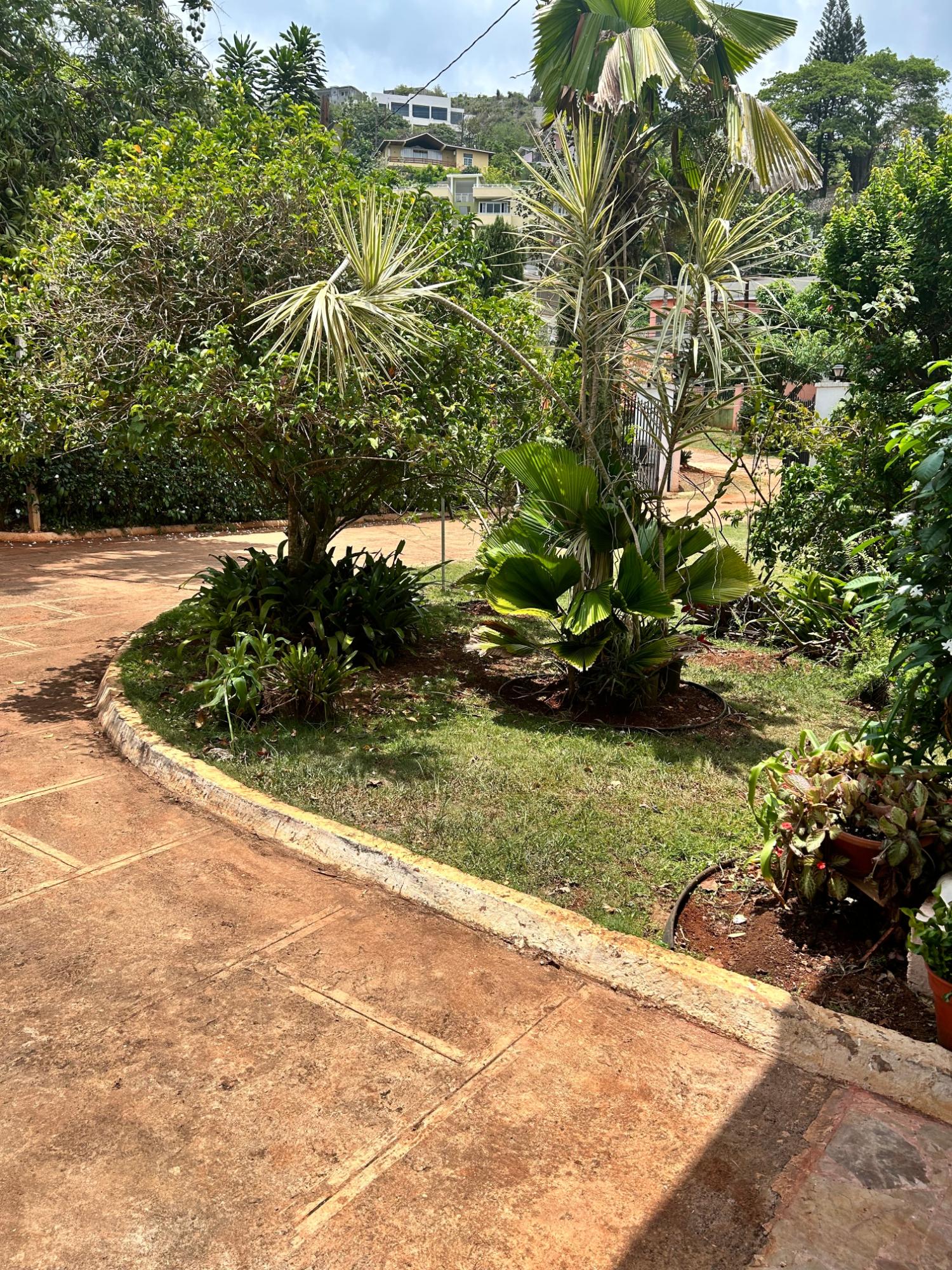 Property Image 67