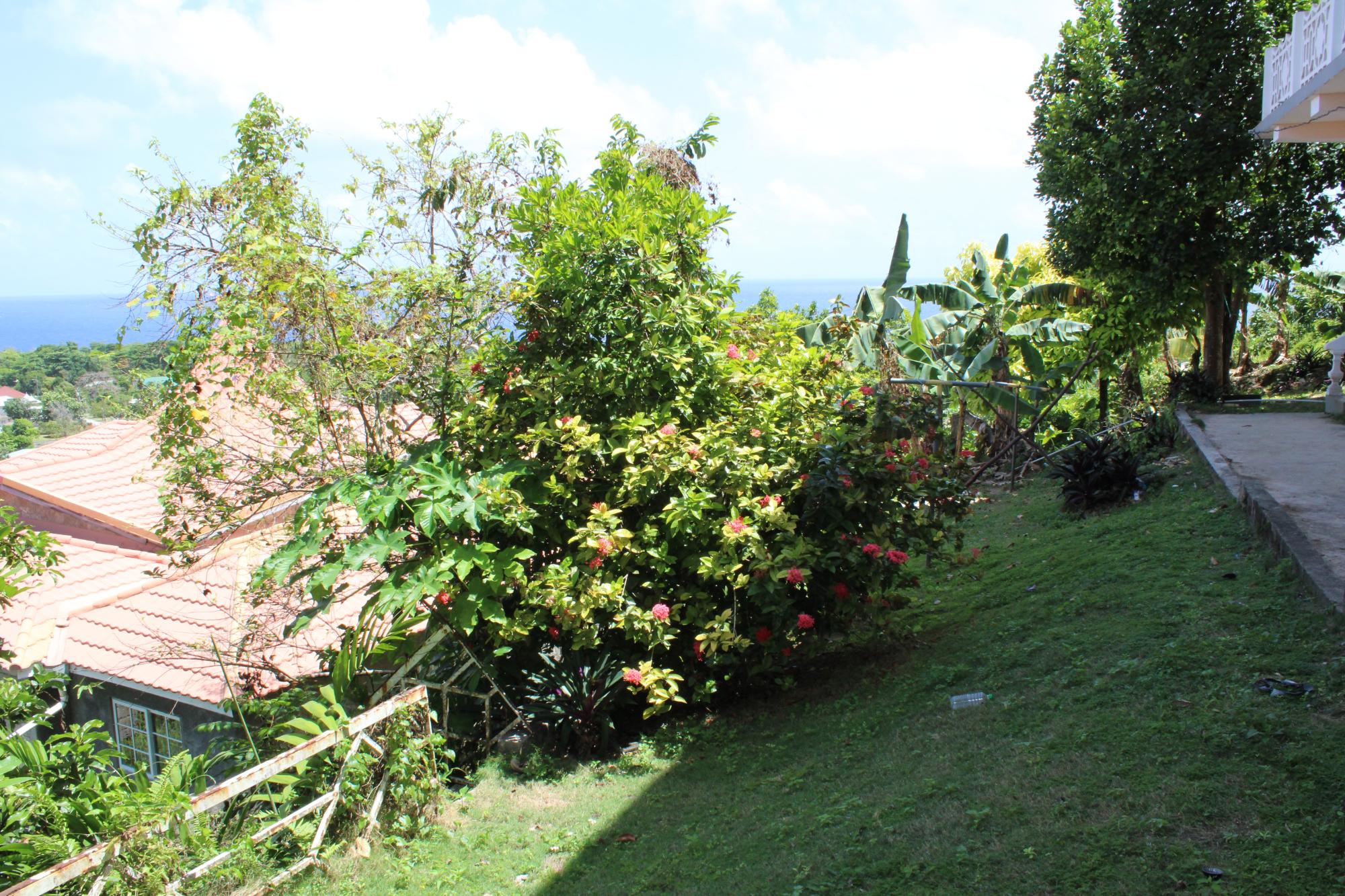 Property Image 57