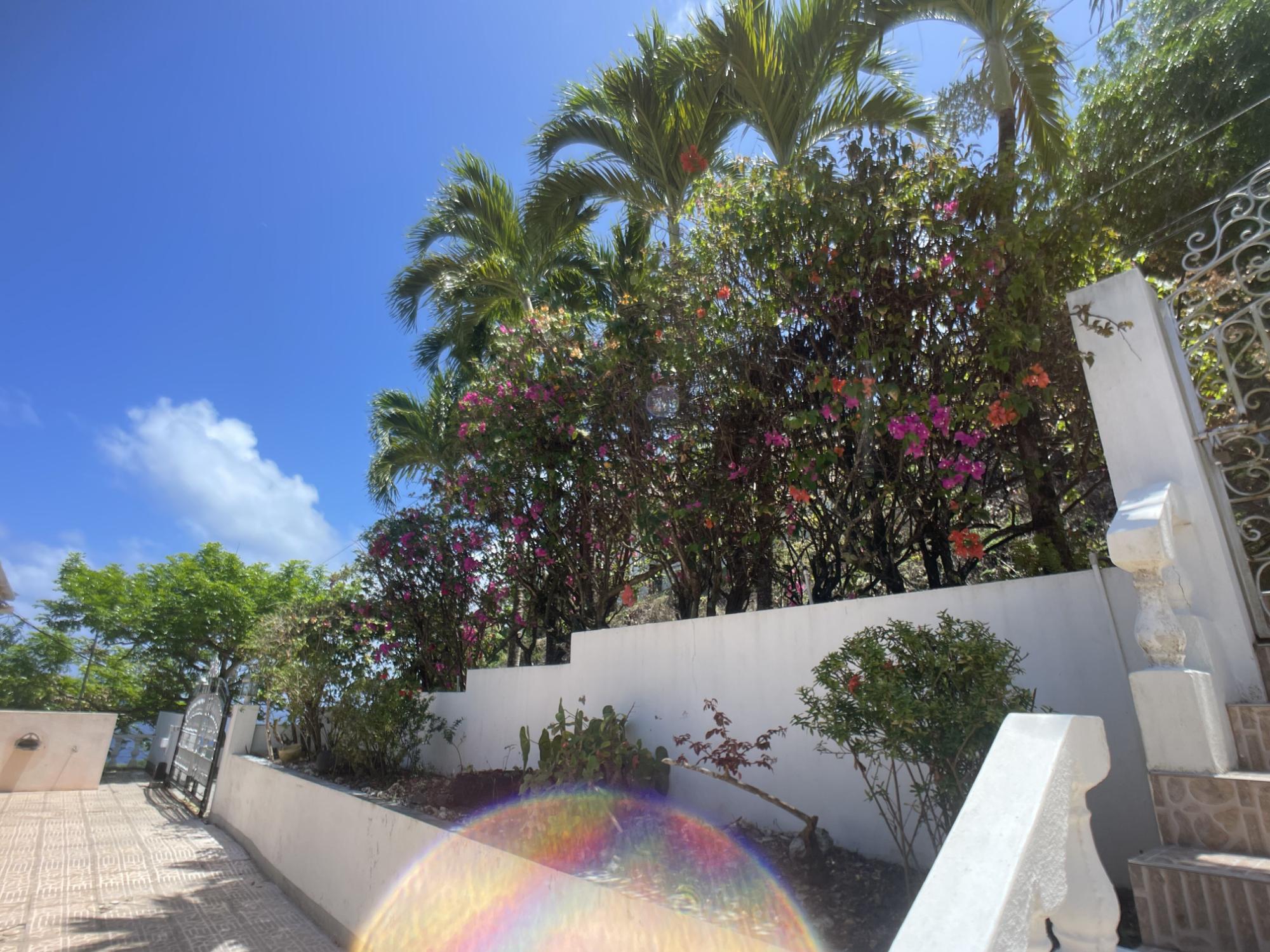 Property Image 62