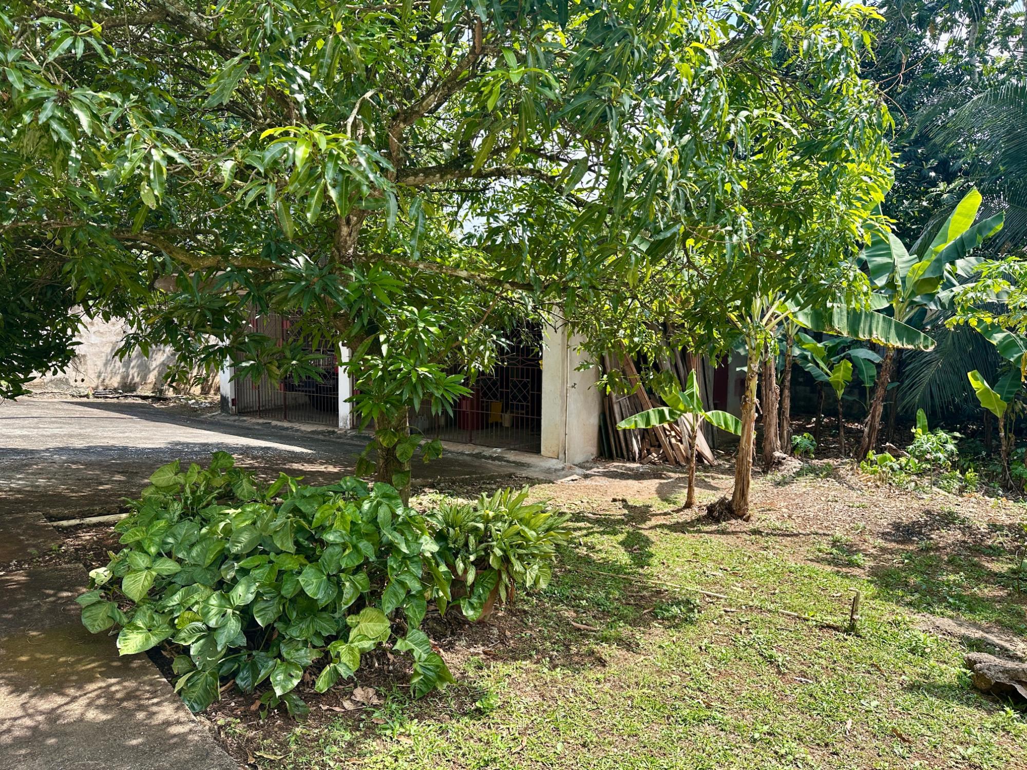 Property Image 49