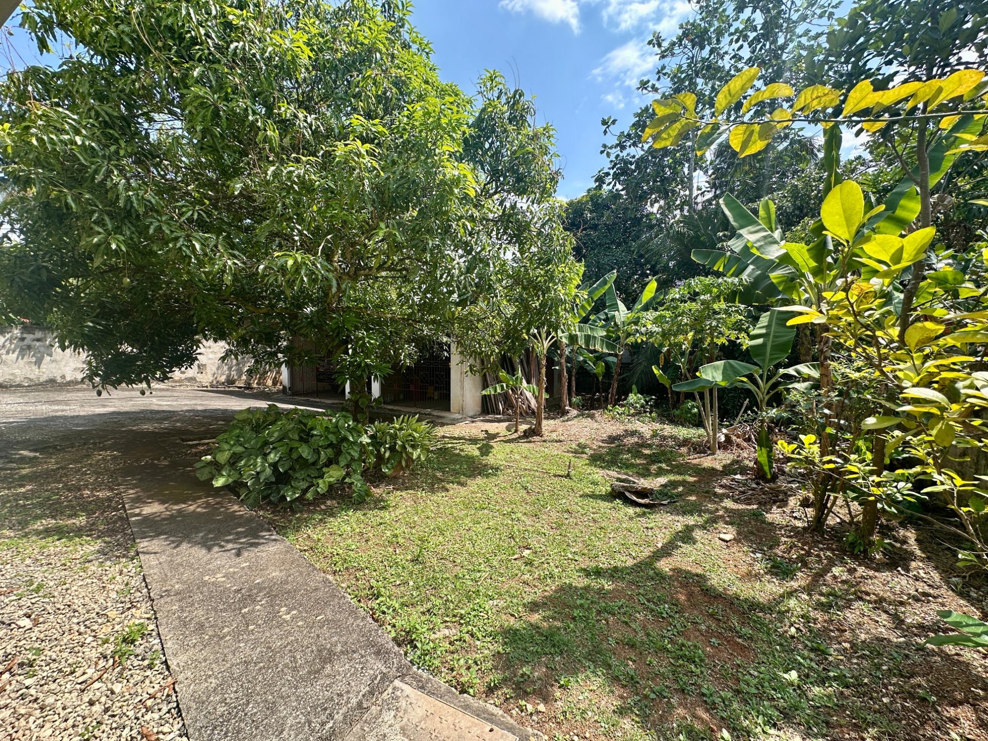 Property Image 50