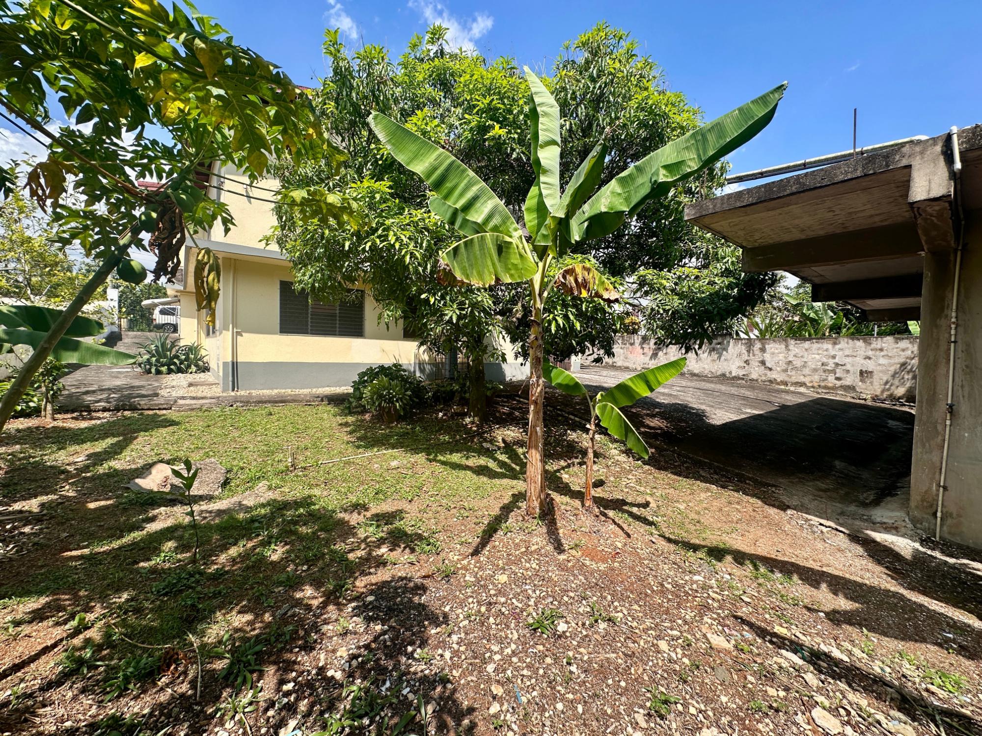 Property Image 54