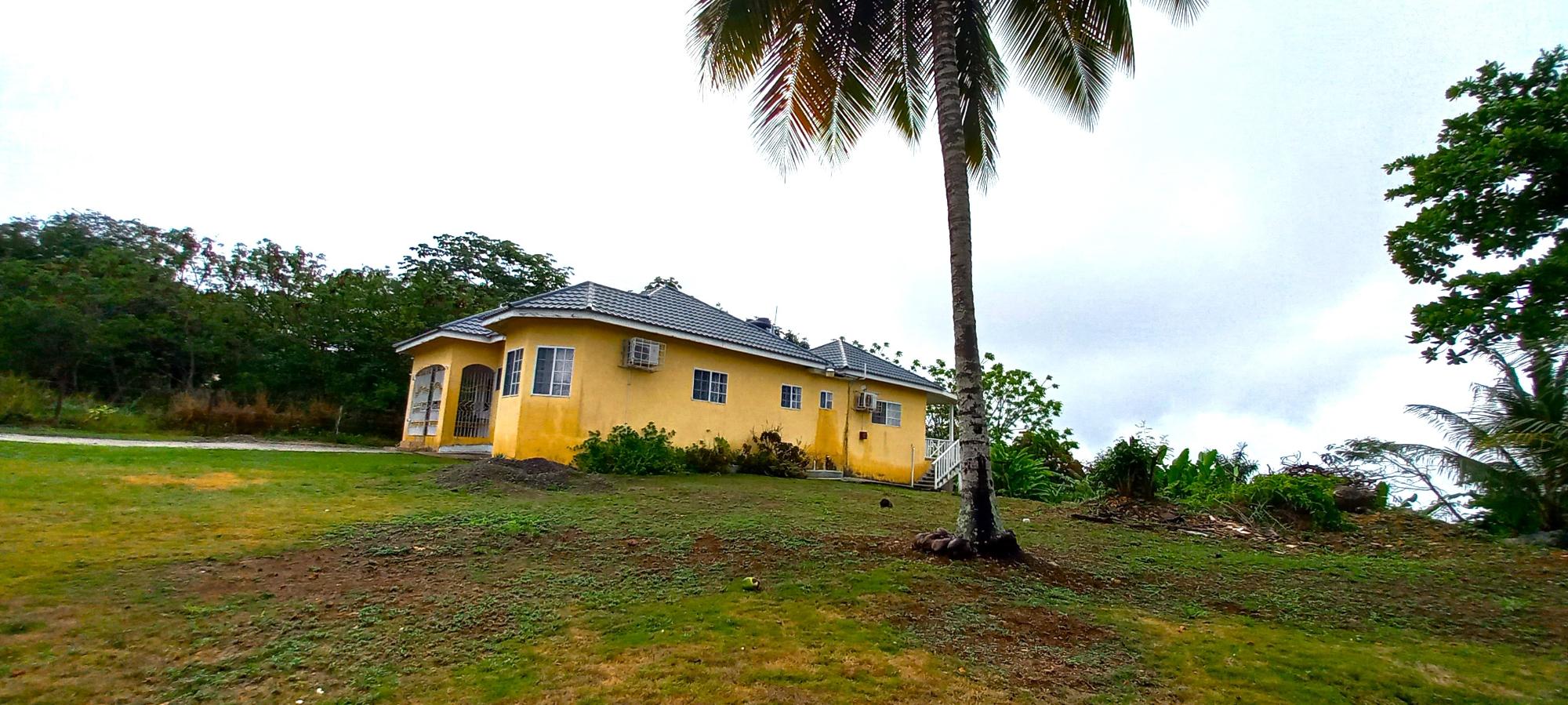 Property Image 39