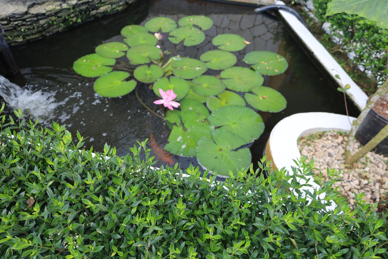 Property Image 5