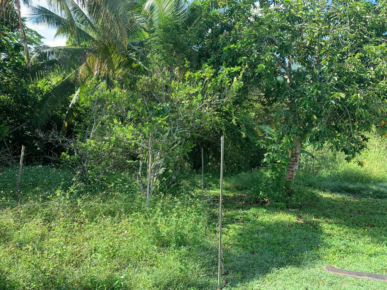 Property Image 21