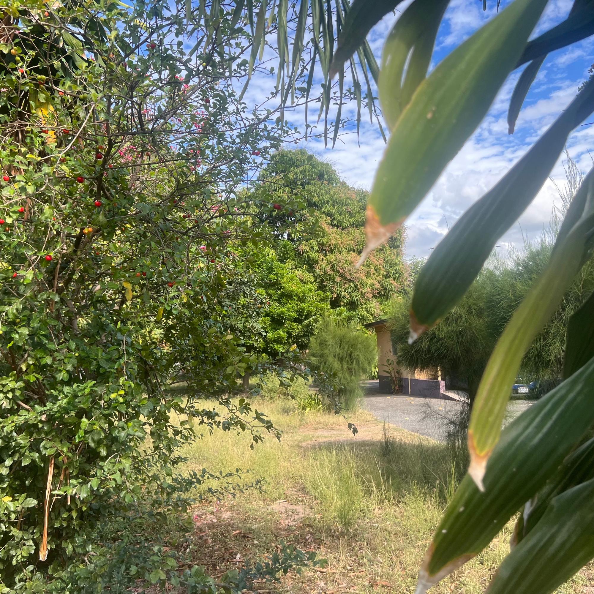 Property Image 7