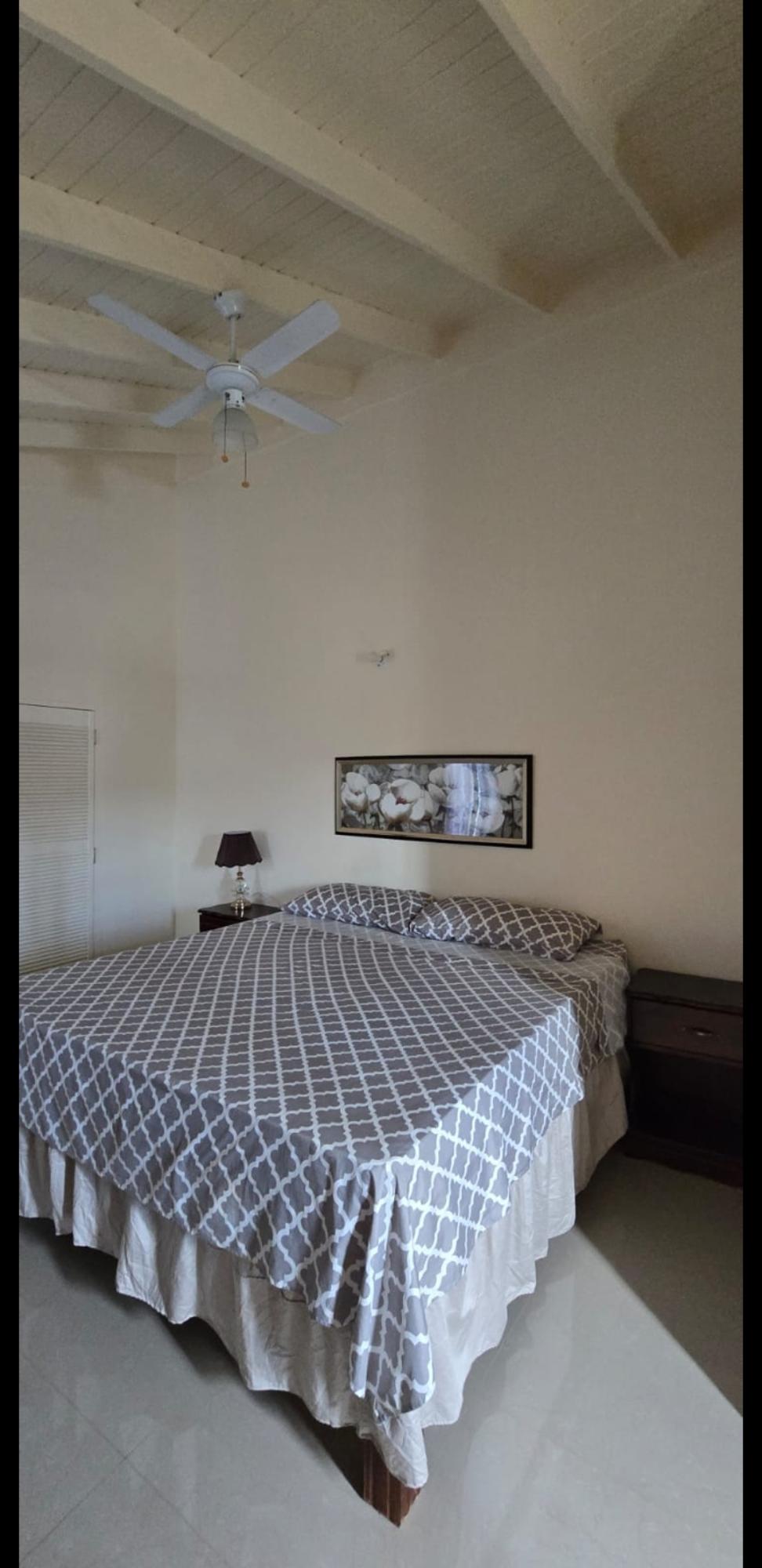 Property Image 66