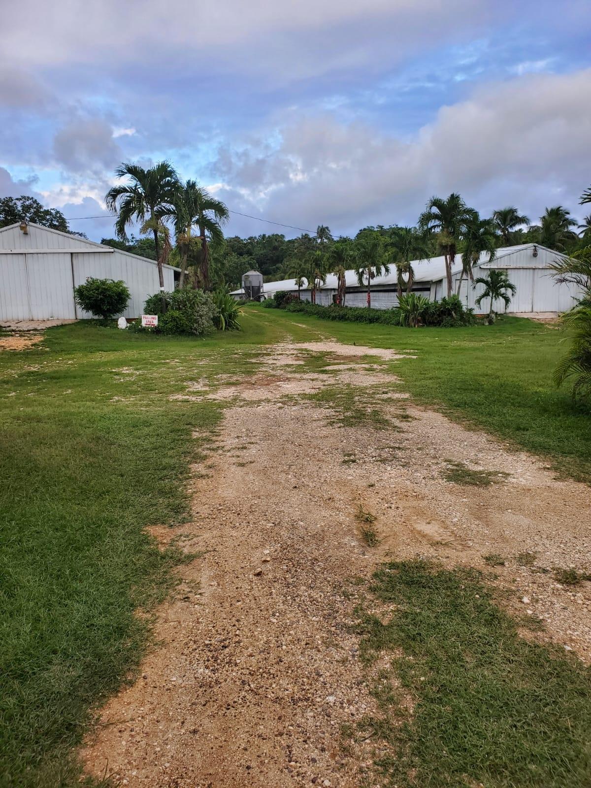 Property Image 8