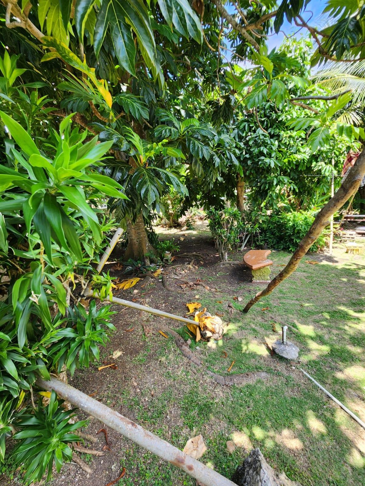 Property Image 15