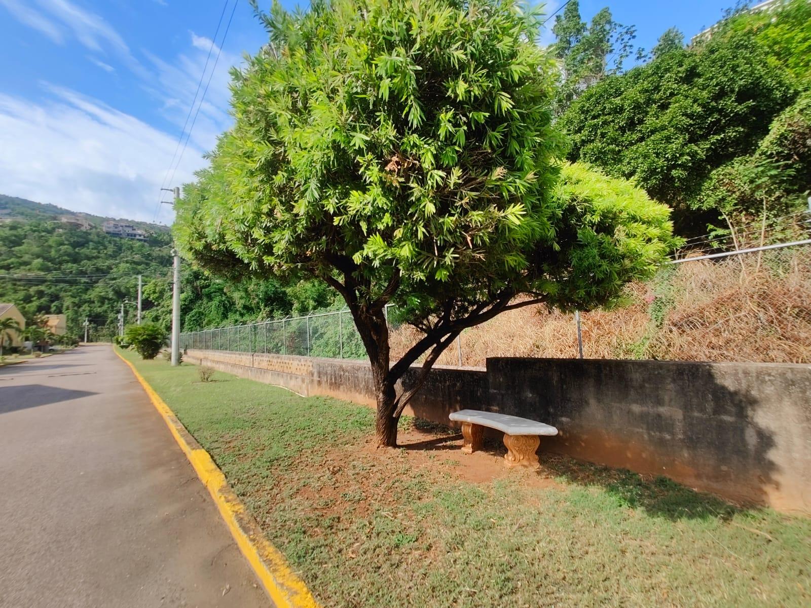 Property Image 53