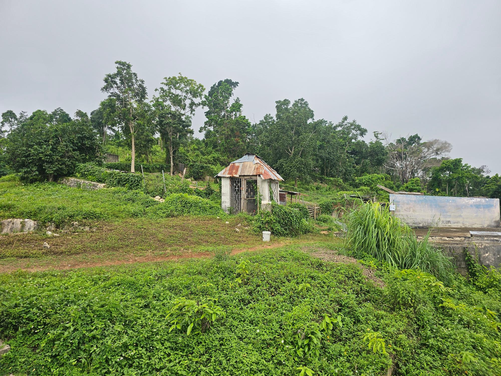 Property Image 9