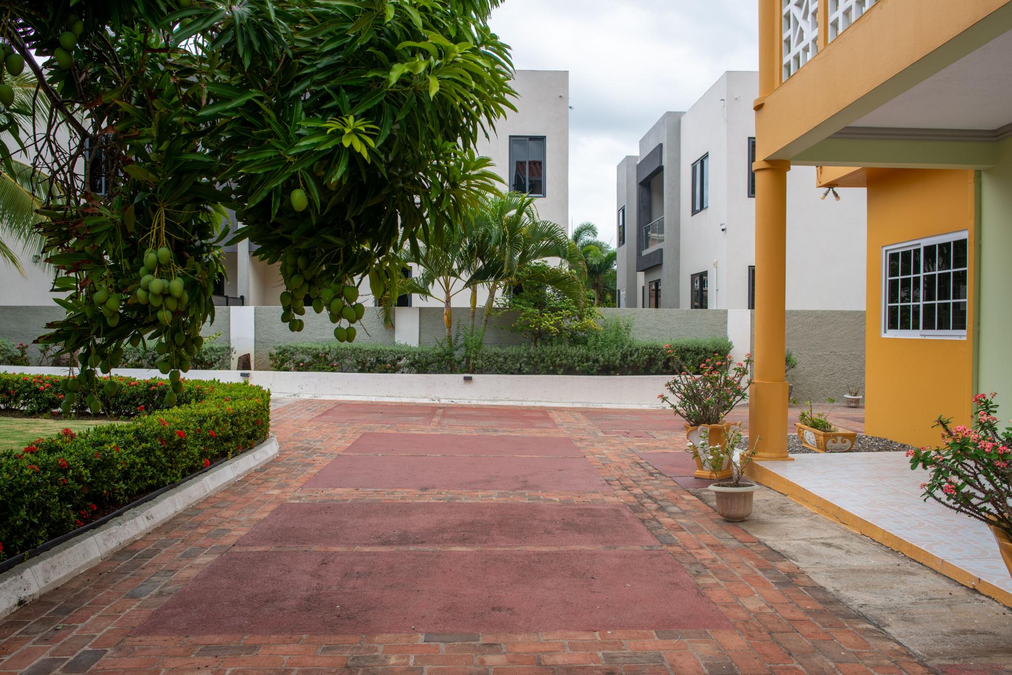 Property Image 8