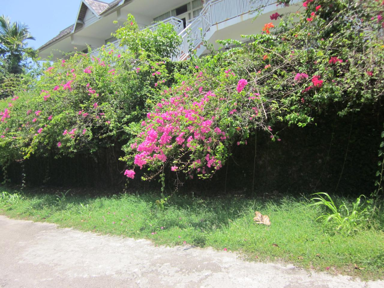 Property Image 22