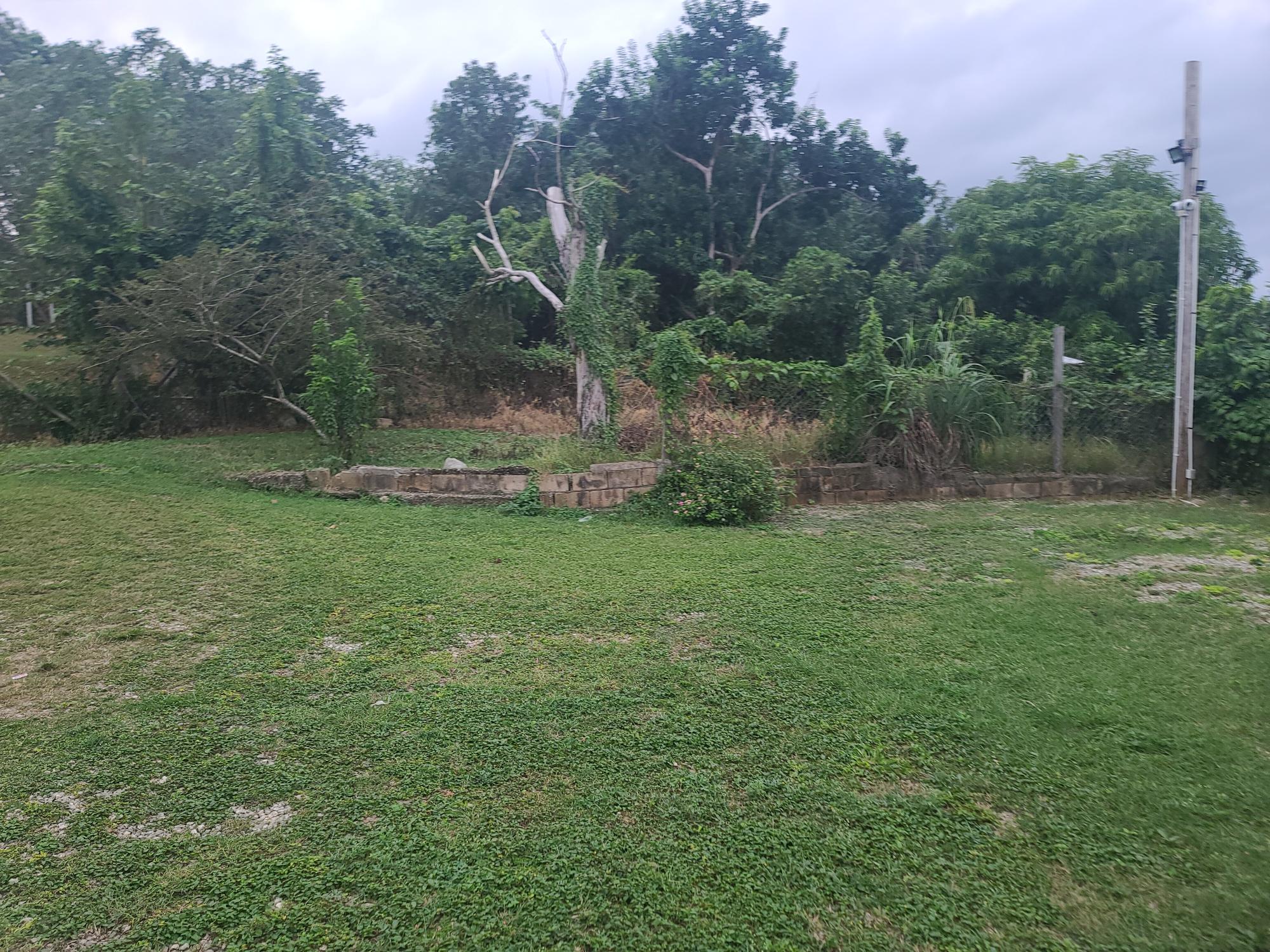 Property Image 58