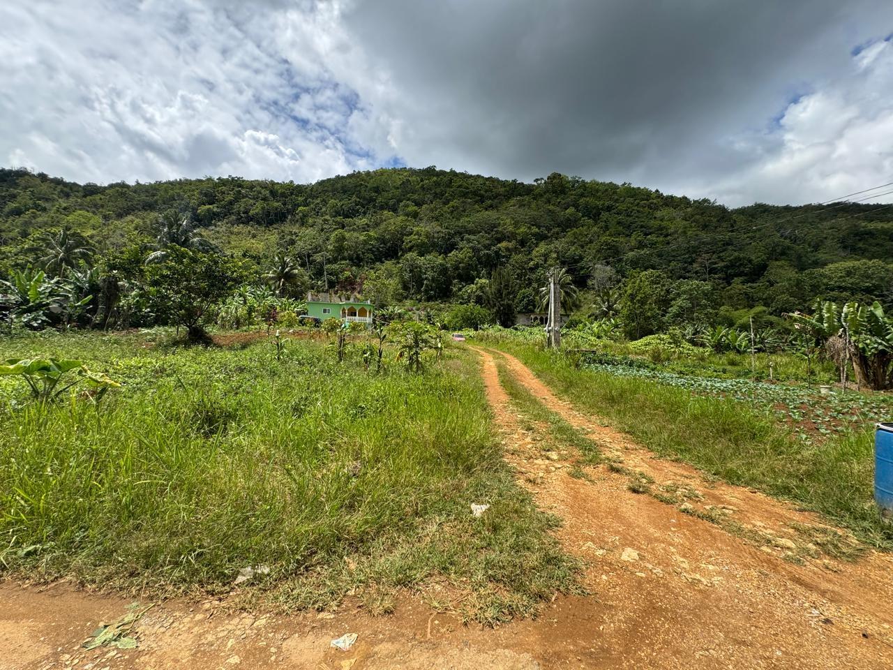 Property Image 6