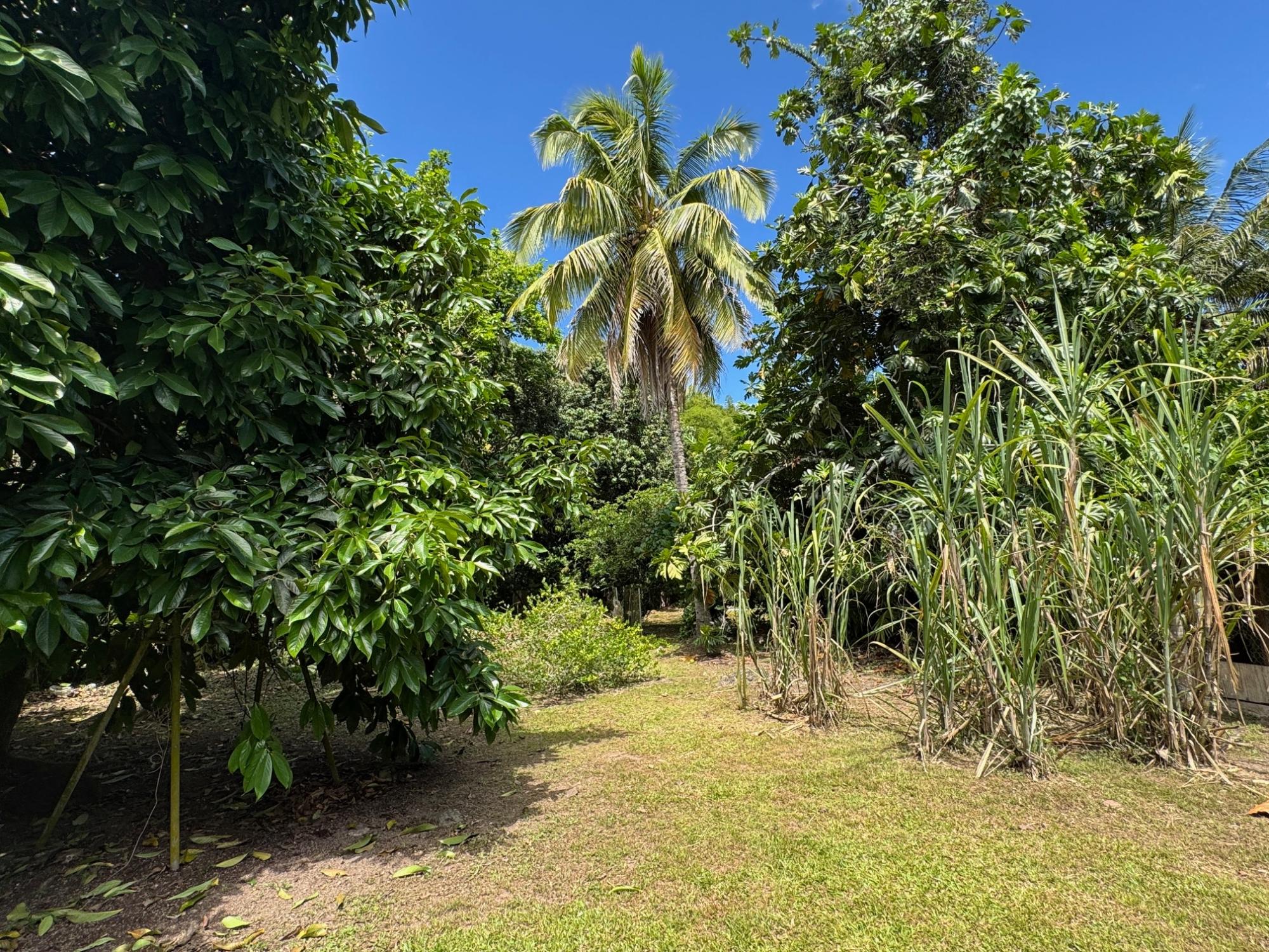 Property Image 12