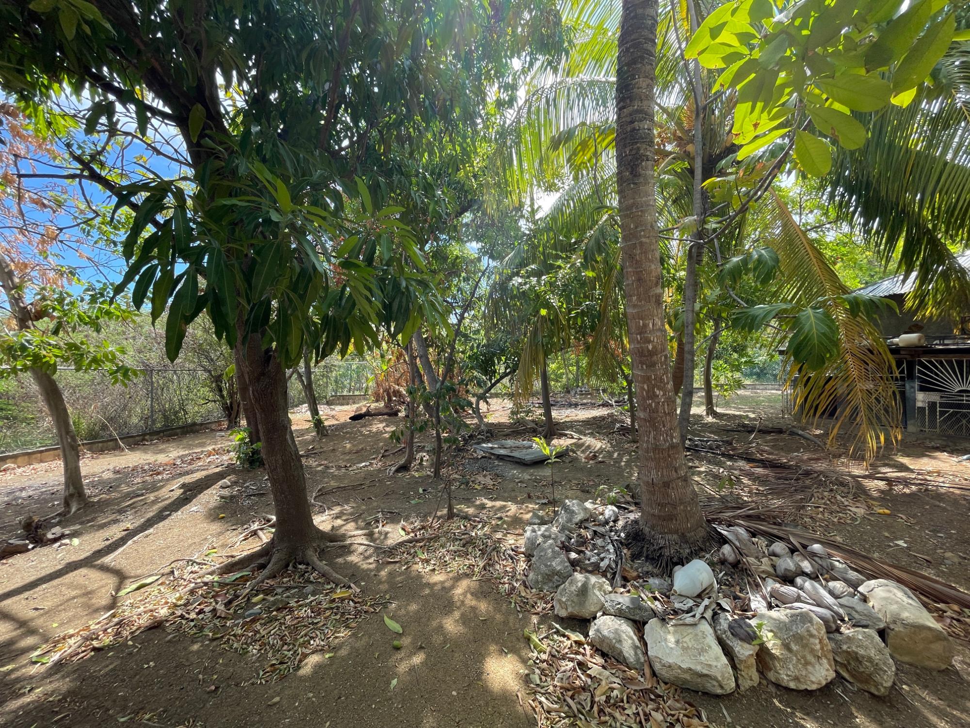 Property Image 31