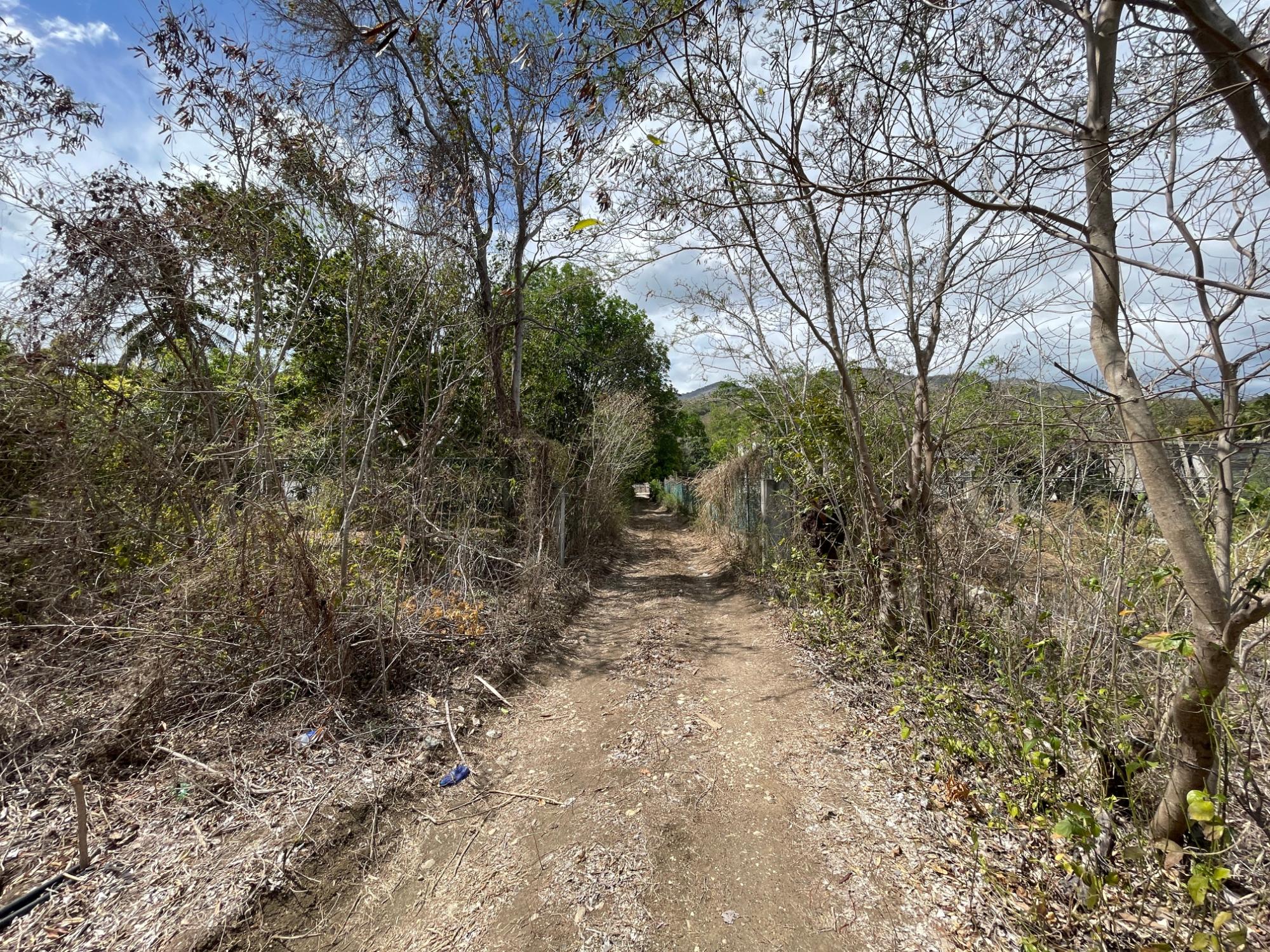 Property Image 33