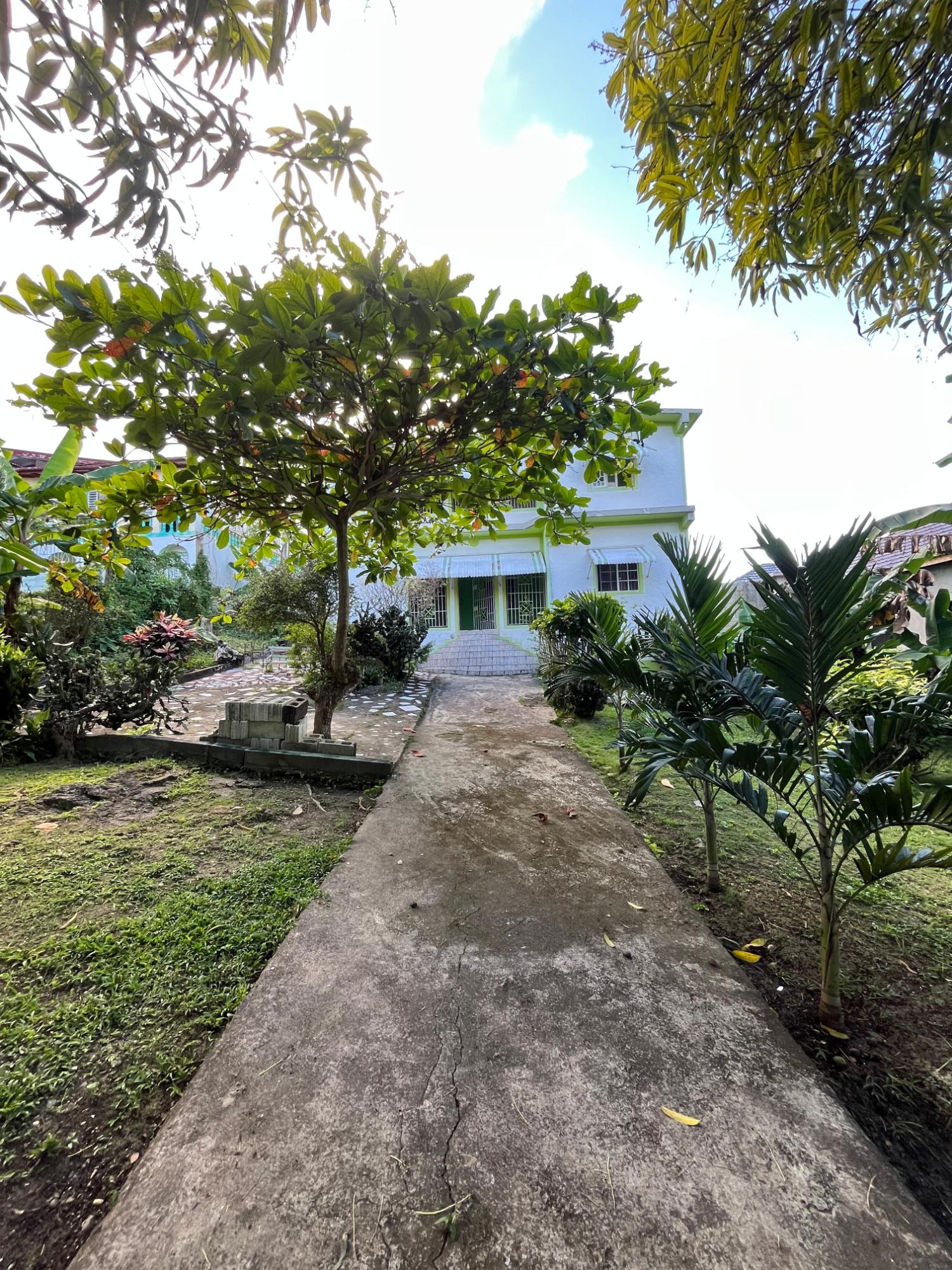 Property Image 13