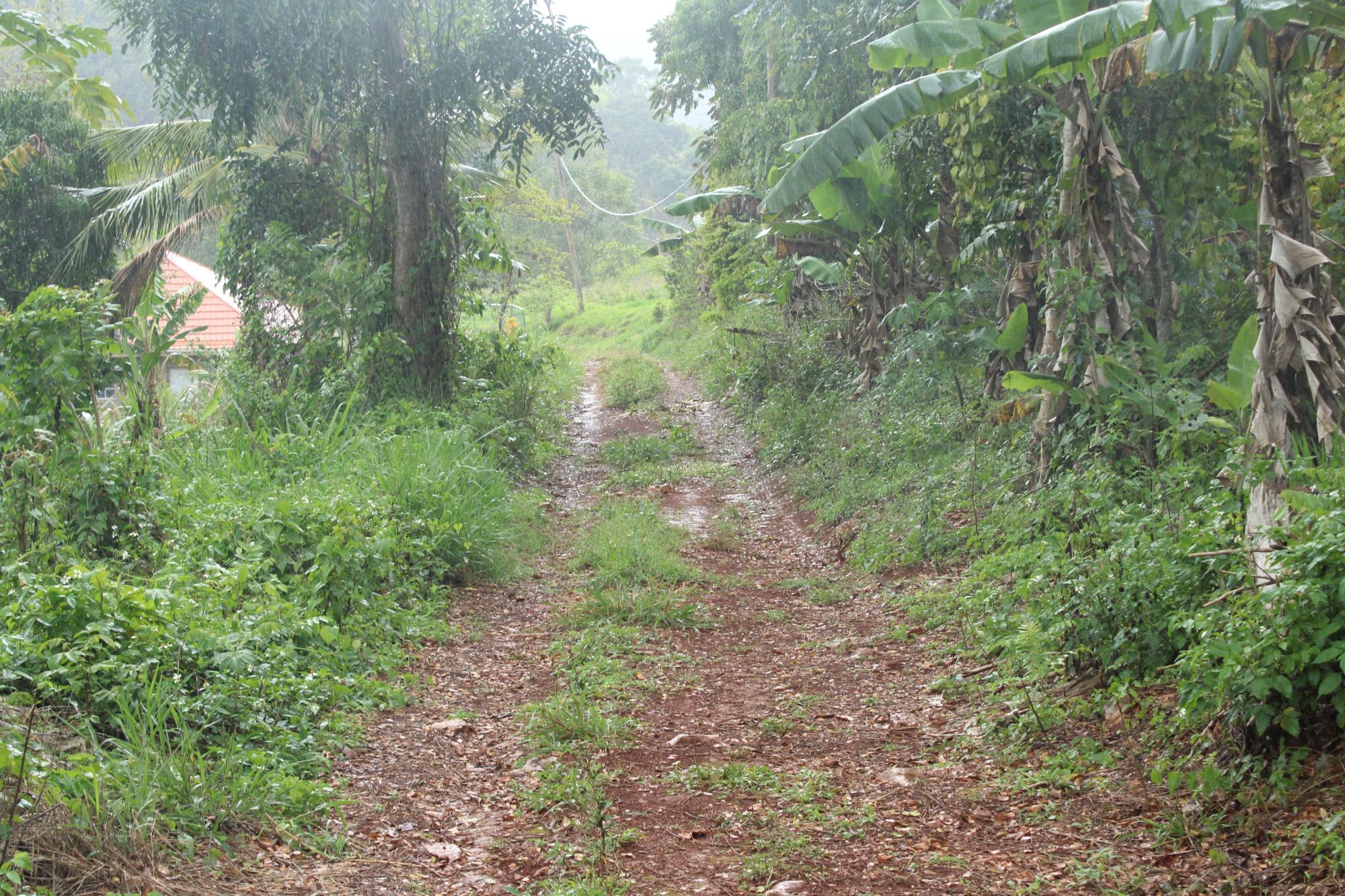 Property Image 5