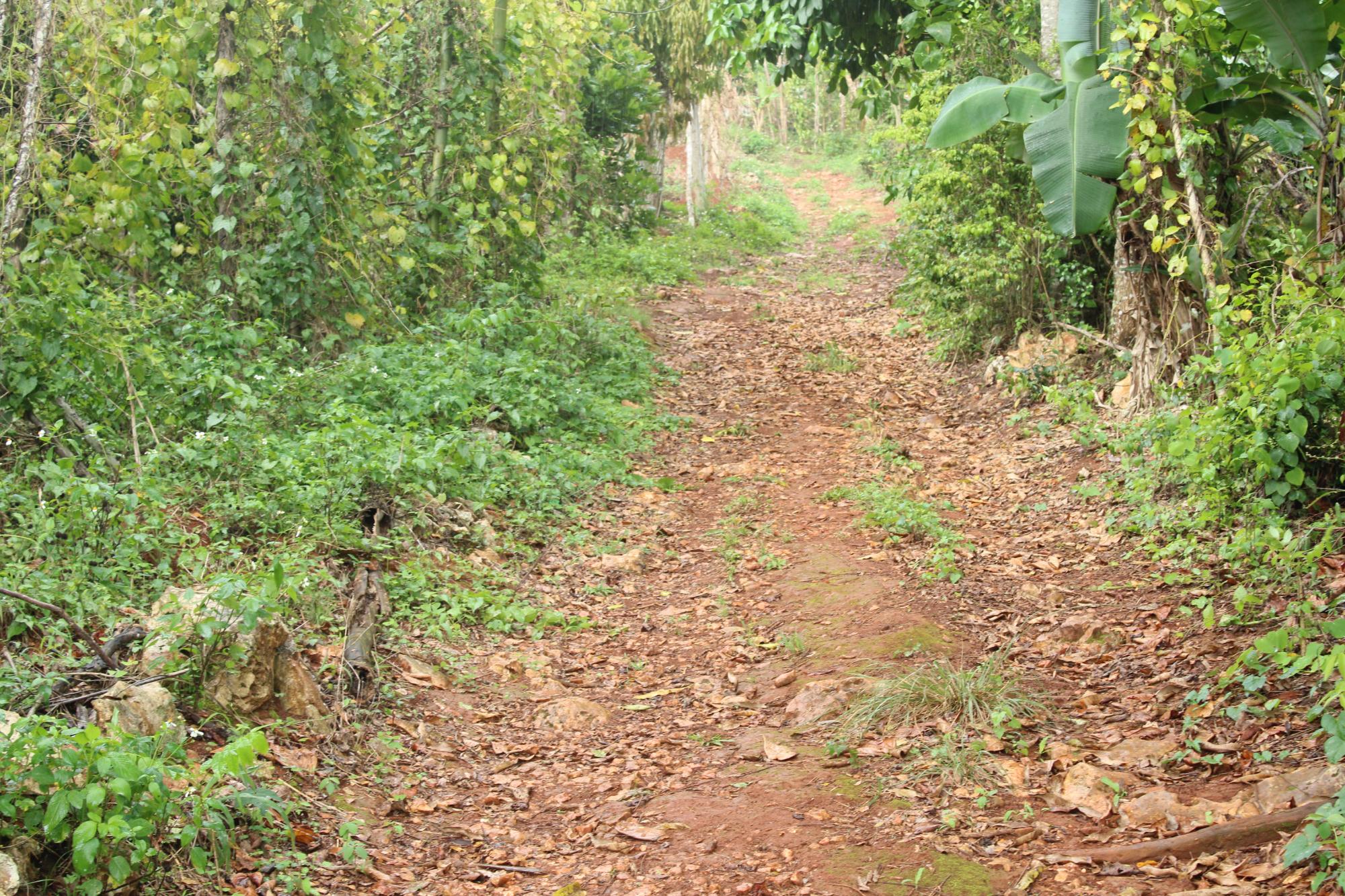 Property Image 7
