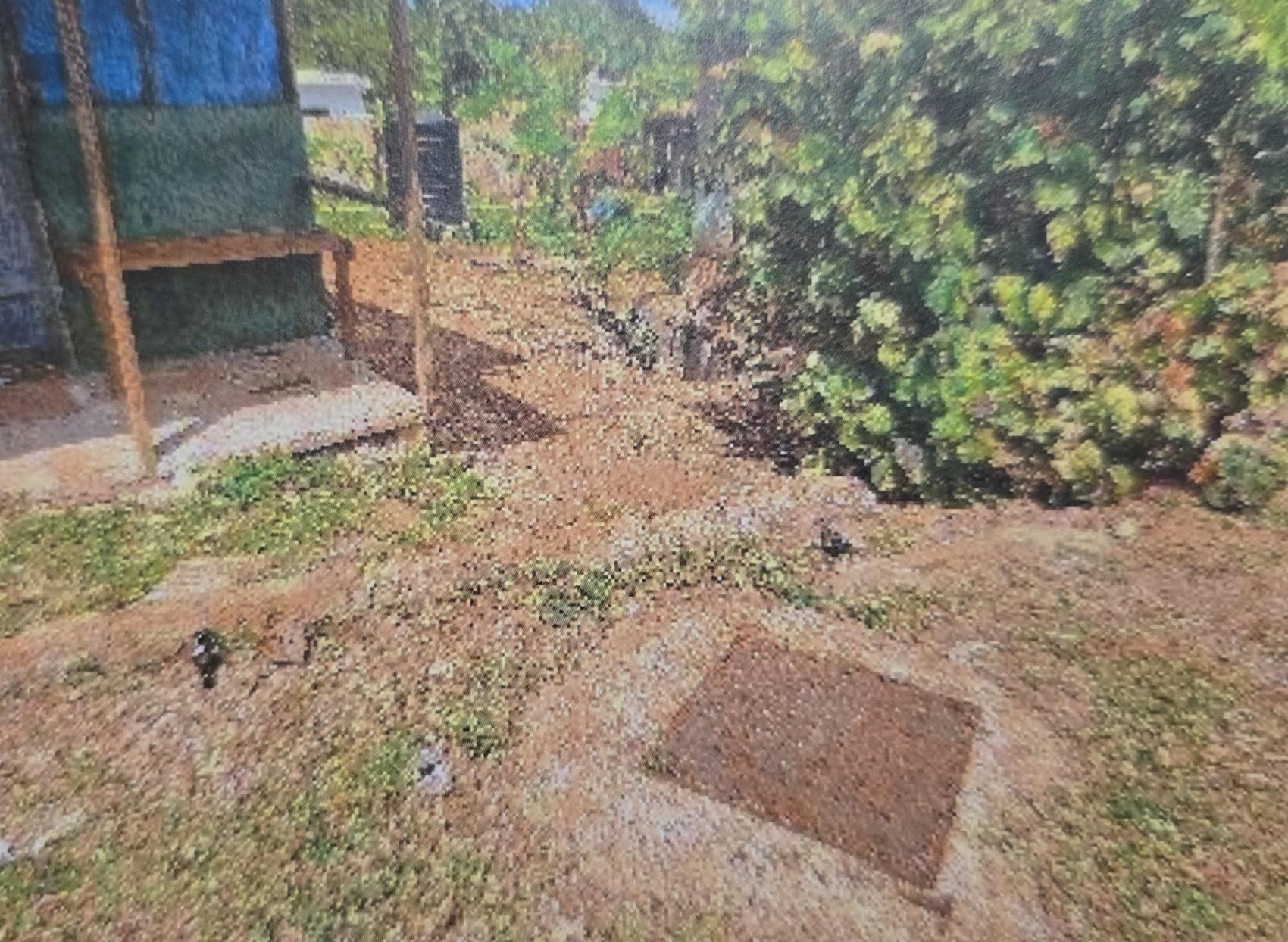 Property Image 15