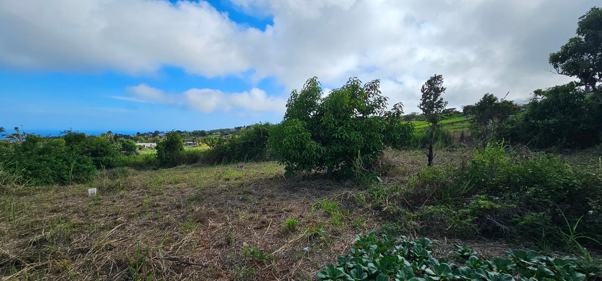 Property Image 46