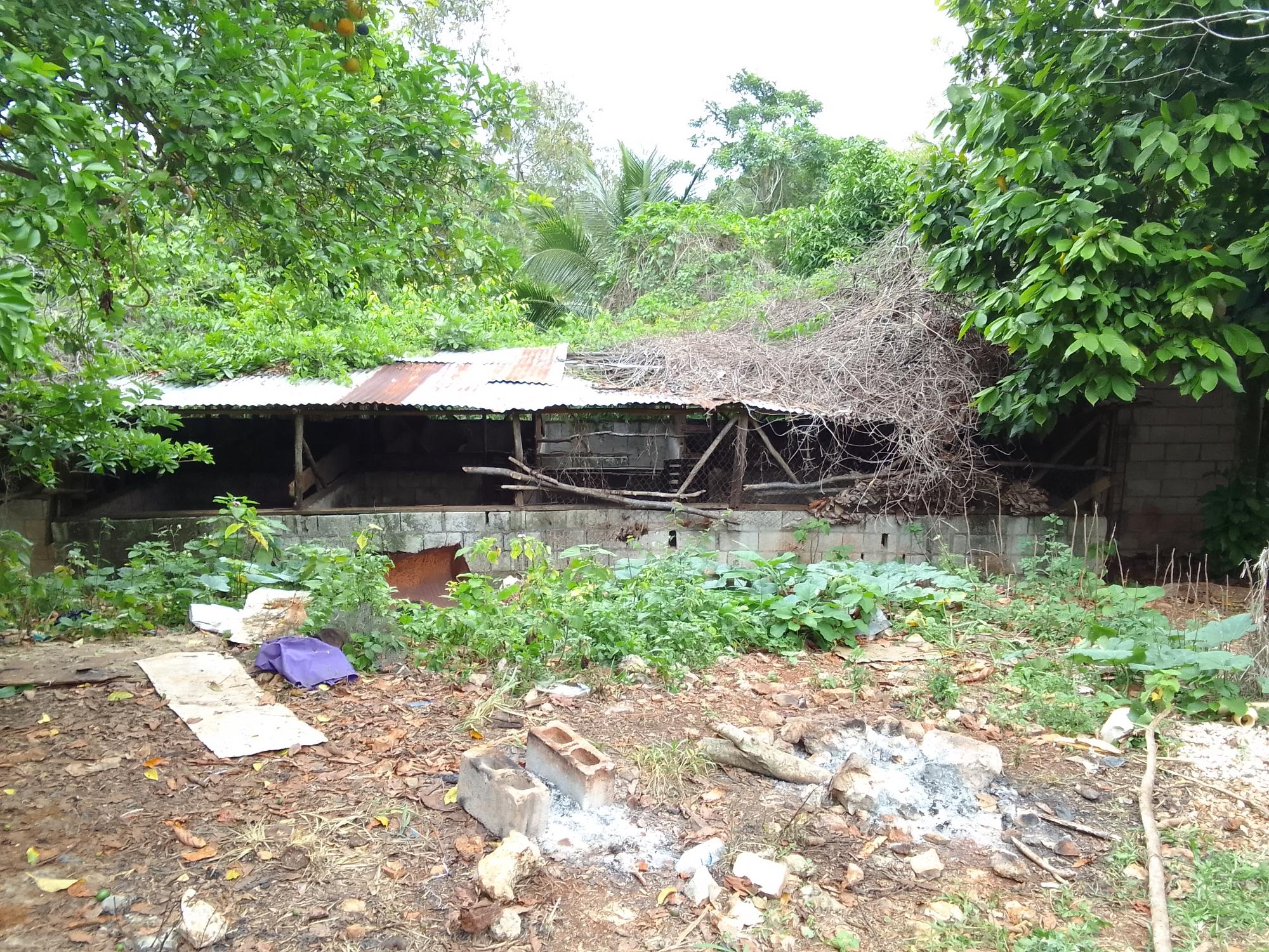 Property Image 14